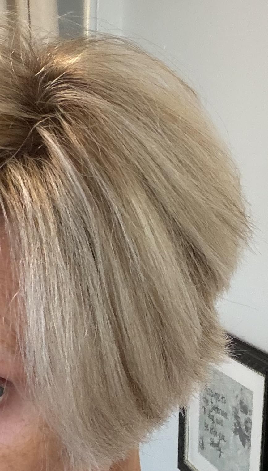 L'Oreal Paris Frost and Design Cap Hair Highlights For Long Hair, H85 Champagne, 1 kit customer photo 1