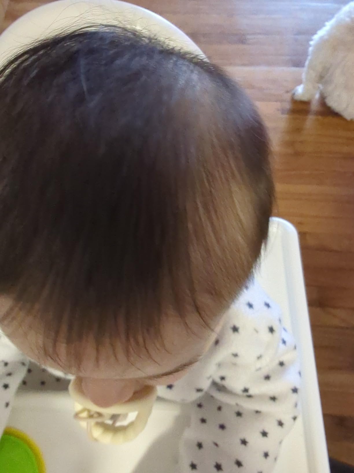 BELLA B Bee Gone Cradle Cap Baby Shampoo Treatment, 8 oz, Organic Natural Dry Scalp Shampoo For Babies customer photo 1