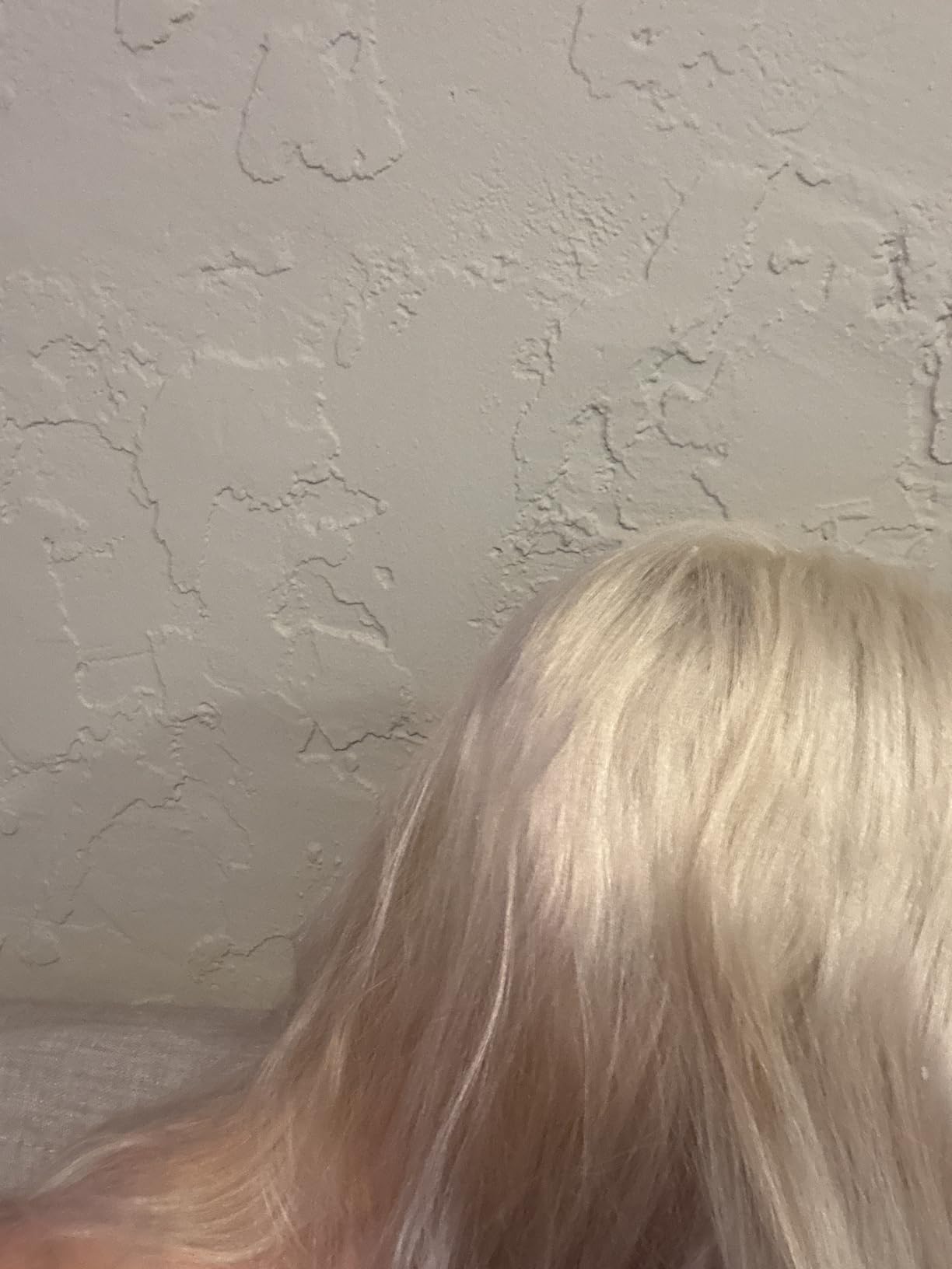 Revlon Color Effects Permanent Highlighting Kit, Ammonia & Paraben Free Hair Dye, 60 Platinum, 8 Oz (Pack of 1) customer photo 2