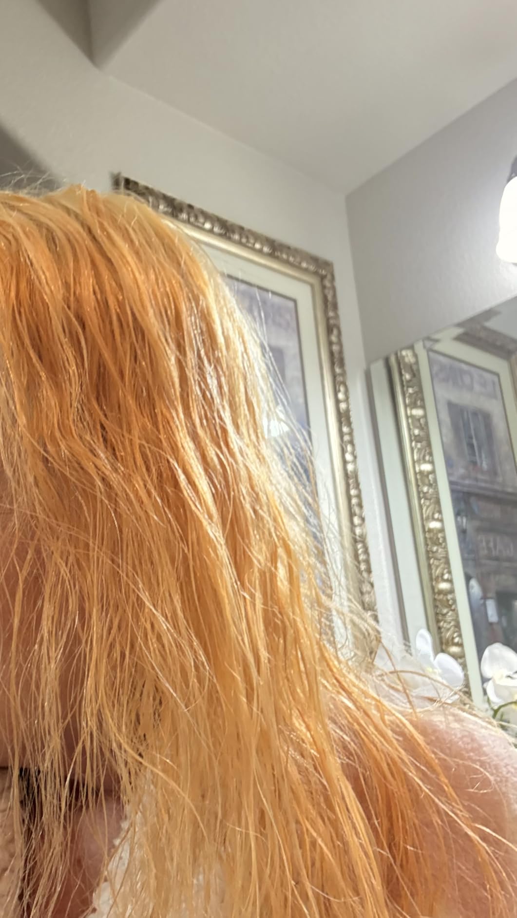 OLIGO PROFESSIONNEL - Blacklight Blue Shampoo - Sulfate-Free Blue Shampoo for Blonde and Color Hair - Revive Treated Hair - Refreshes Faded Highlights - 11 Amino Acids and Moisturizing Formula - 8.5oz customer photo 2