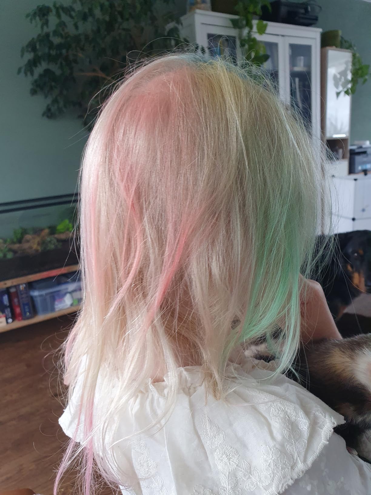 HAIRCHALKIN 36 Non-Toxic Temporary Hair Pastel Chalk Beauty Kit customer photo 2