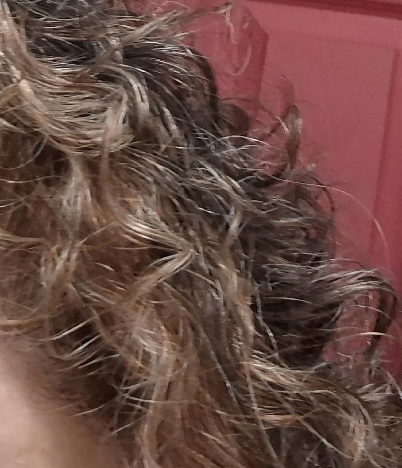 Mielle Organics Pomegranate & Honey Leave-In Conditioner for Curly Hair - Moisturizing Detangler & Curly Hair Treatment to Help Repair Damage, Prevent Frizz & Improve Shine, 12 Fl Oz customer photo 2