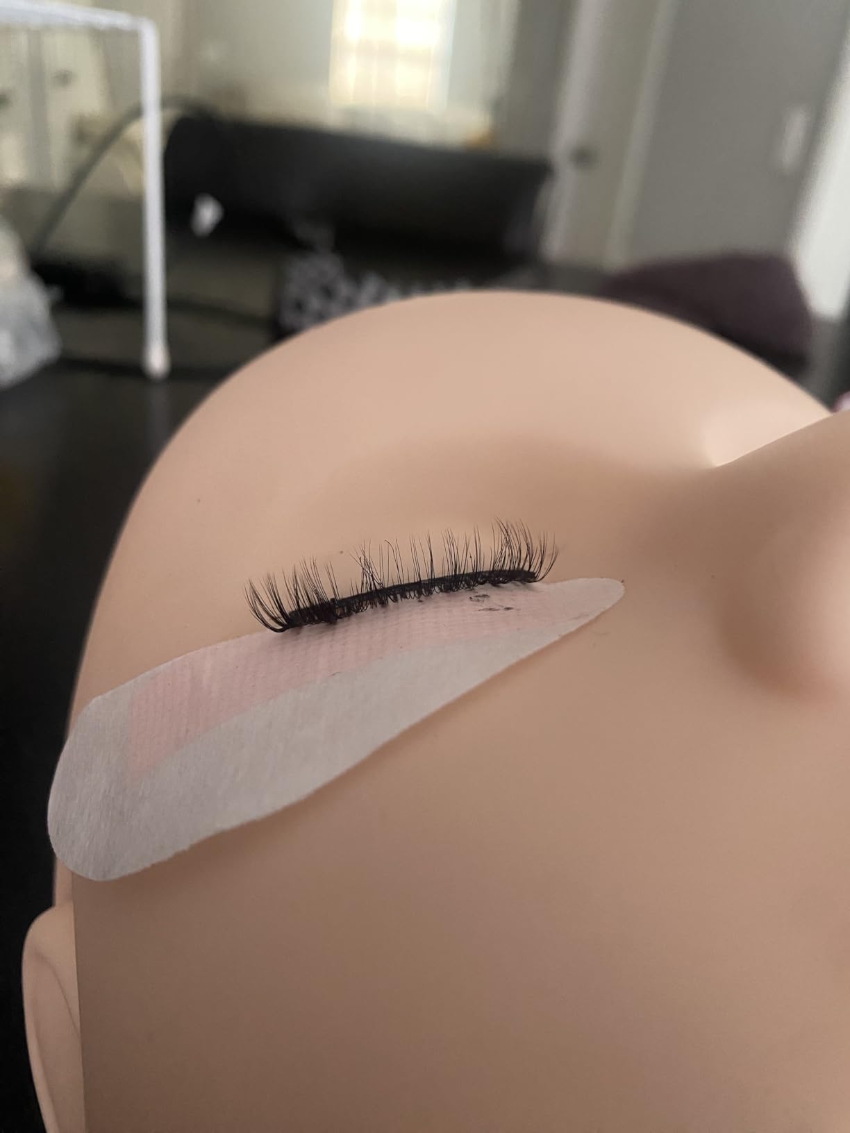 Lash Eyelash Extension Kit & Training Course and Certification, Professional Lash Extension Kit for Beginners Includes Practice Mannequin Head, Lash Trays, Glue, Tweezers, Fan & More customer photo 1
