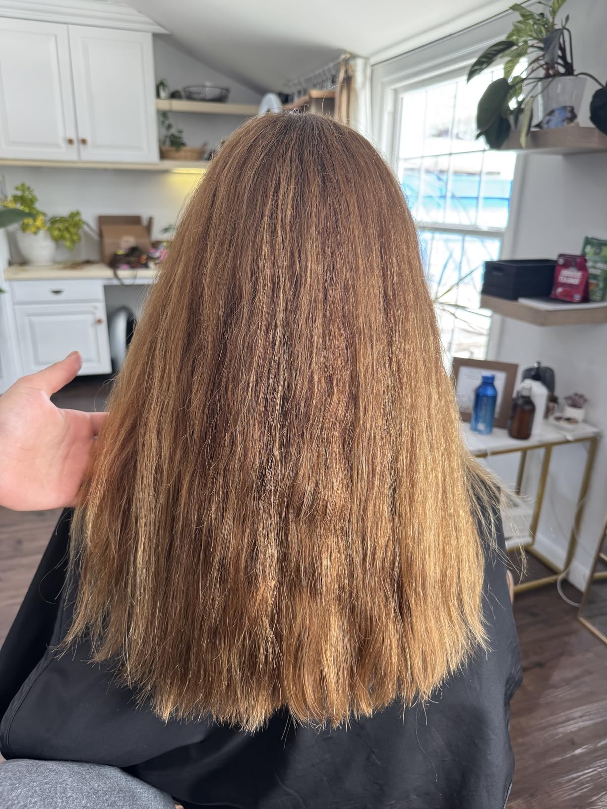 dpHUE Cool Brunette Shampoo - 8.5 oz - Blue Pigments Neutralize Unwanted Orange, Red & Brassy Tones - Color Safe - Paraben, SLS & SLES Sulfate Free customer photo 2