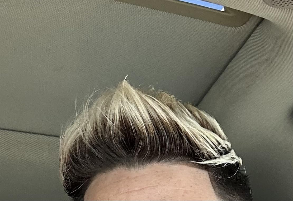 L'Oreal Paris Sulfate Free Brass Toning Purple Shampoo for Blonde, Bleached, Silver, or Brown Highlighted Hair, EverPure, 6.8 Fl Oz (Packaging May Vary) customer photo 1