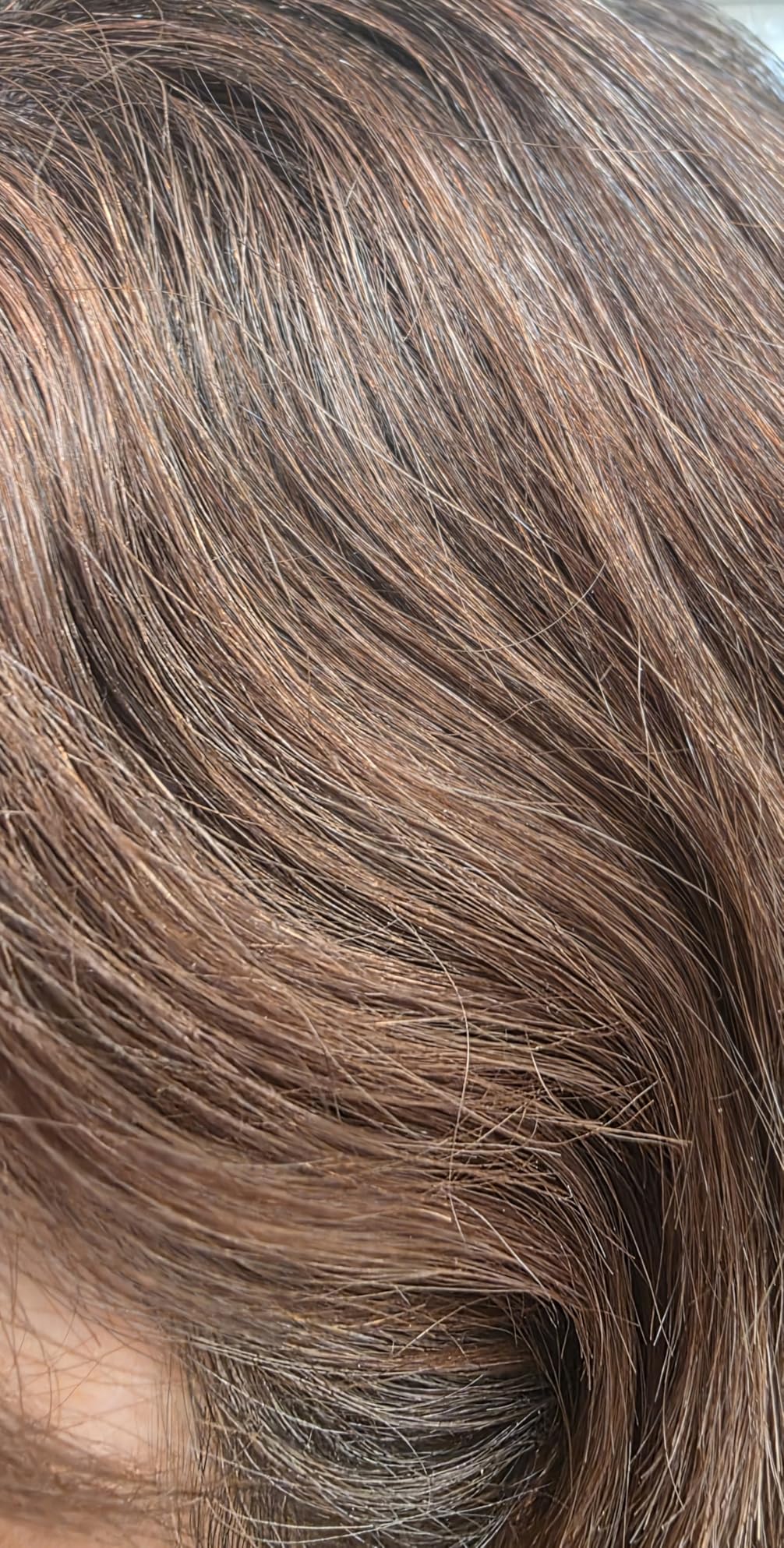 Clairol Professional Beautiful Collection Advanced Gray Solutions | Semi-Permanent Hair Color with Gray Coverage for All Hair Textures customer photo 1