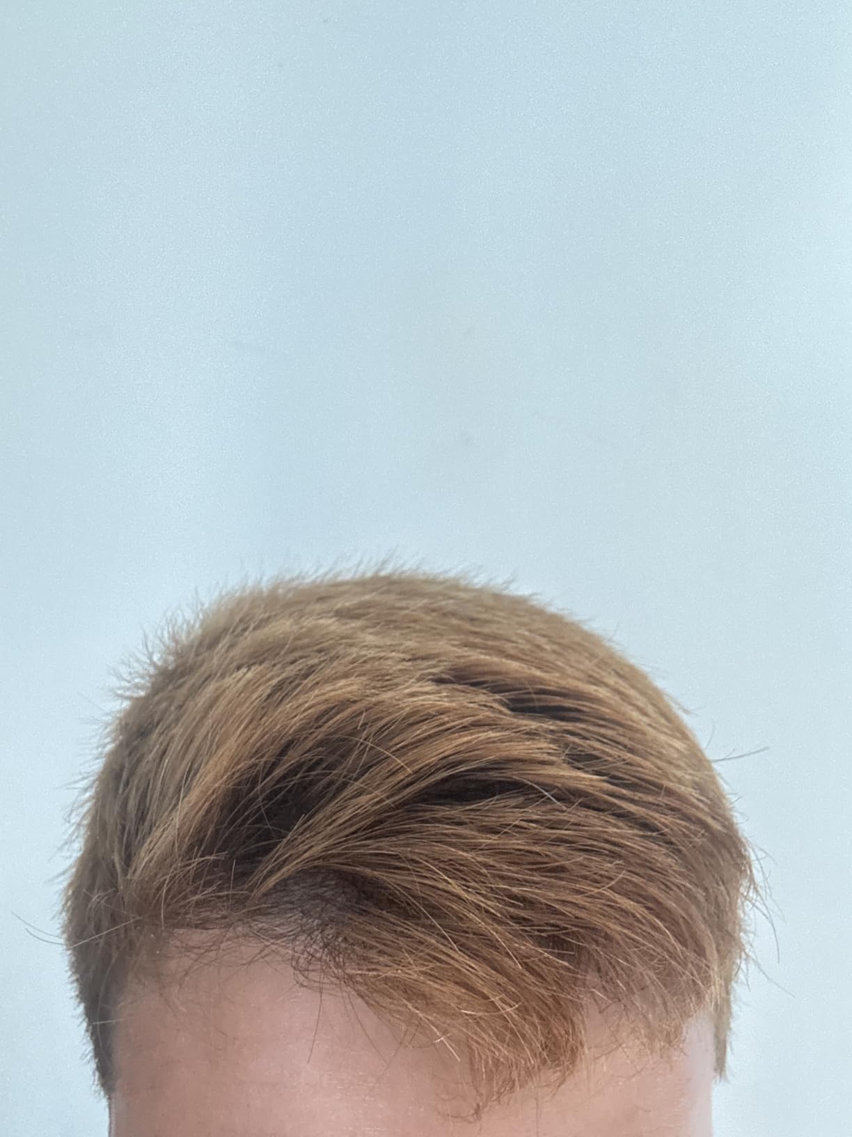 Hair Lightener for Dark Hair - Natural Highlights Without Foils or Ammonia - Sun-Activated Gradual Lightening Spray for Brown to Black Hair with Chamomile - 3.38 Fl Oz customer photo 2
