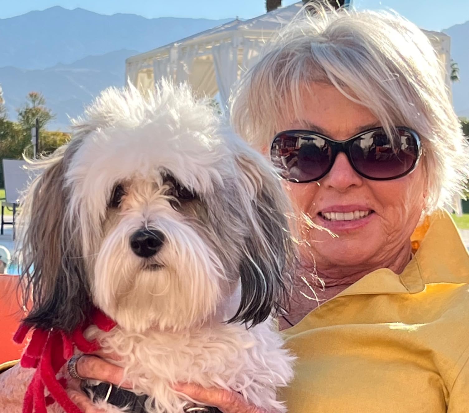Better Not Younger Silver Lining Purple Shampoo for White & Gray Hair for Women Over 40 - Brightening & Toning Formula Neutralizes Yellow & Brassy Tones - Volumizing & Nourishing - 8.4 fl oz customer photo 1