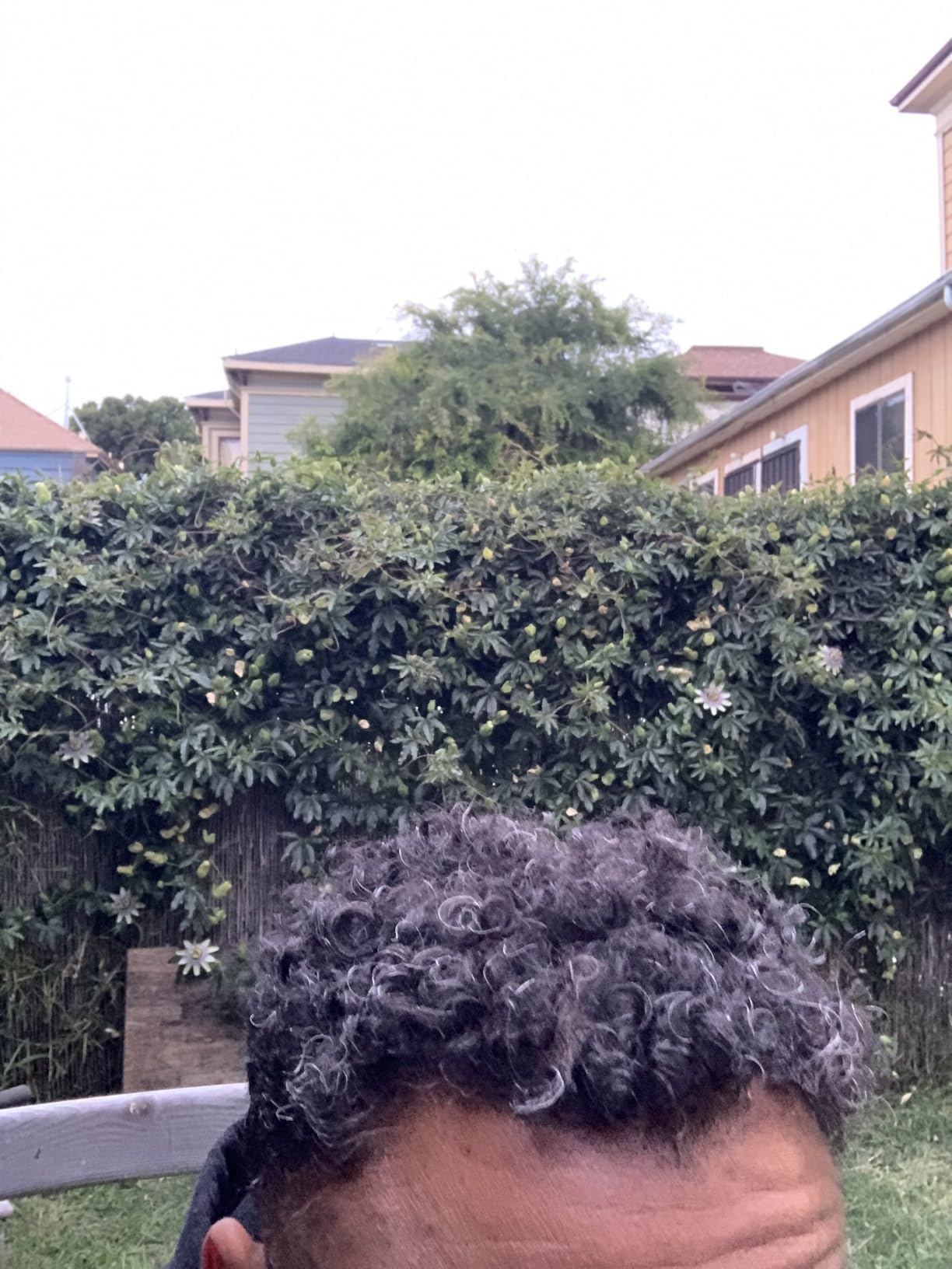 PATTERN Beauty by Tracee Ellis Ross Curl Gel 9.8 fl oz - Definition and Shine for Curlies, Coilies and Tight Textures customer photo 1