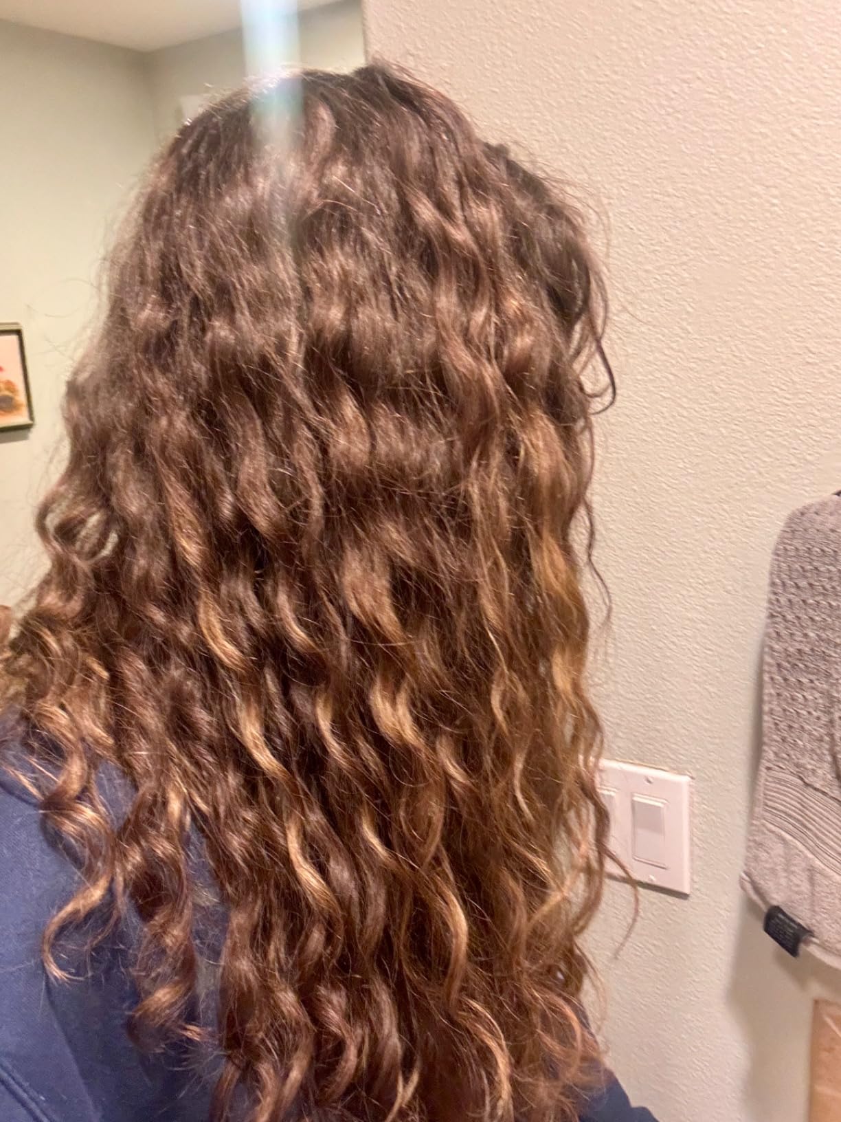 Moroccanoil Frizz Shield Styling Spray customer photo 2