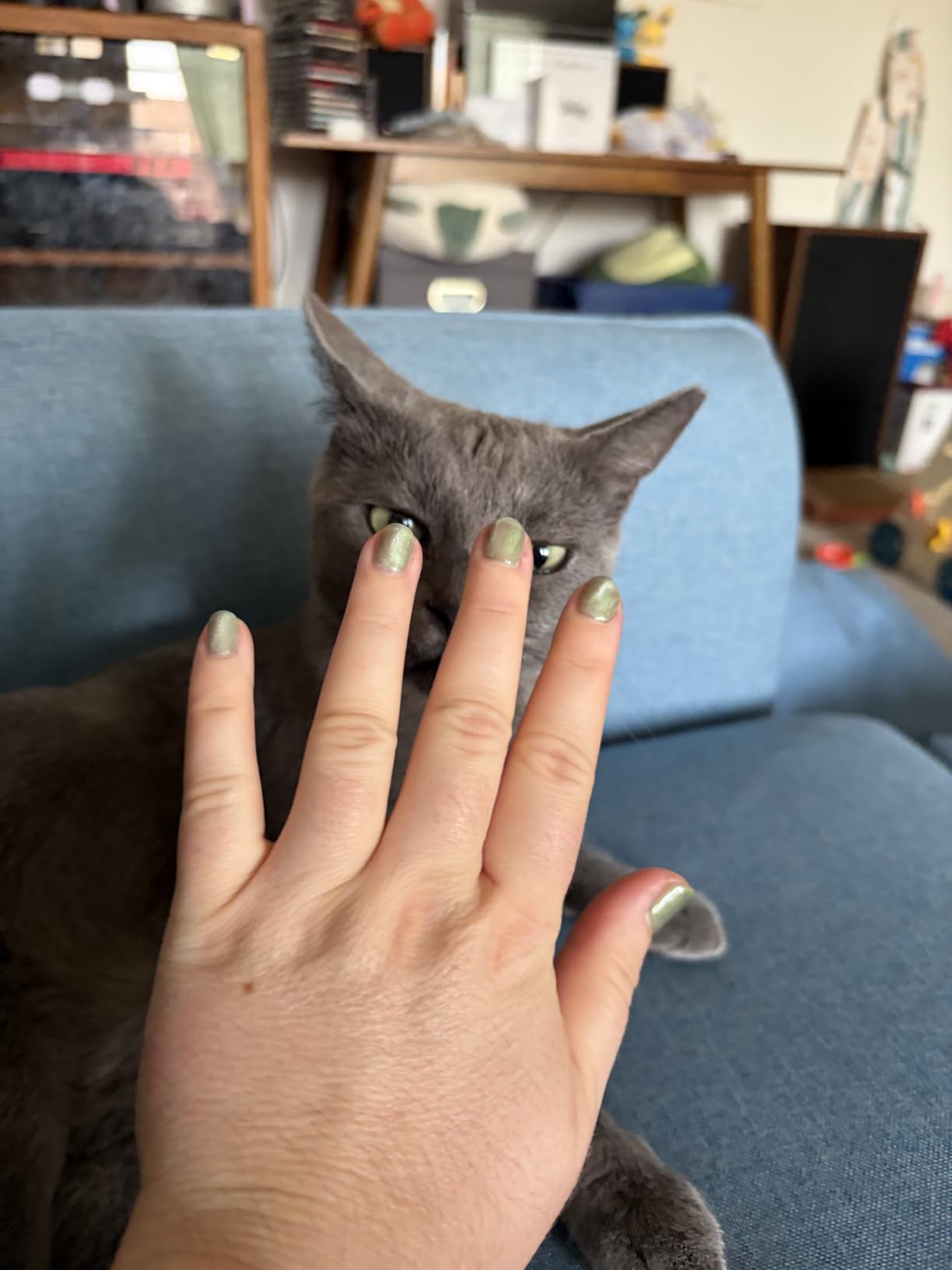 Born Pretty Cat Magnetic Gel Nail Polish 9D Chameleon Holographic Glitter | 6PCS Rainbow Cat Magnetic Eye Gel Polish Blue Purple, Glitter Gel Polish Set with Magnet, DIY Manicure Gifts at Home customer photo 1