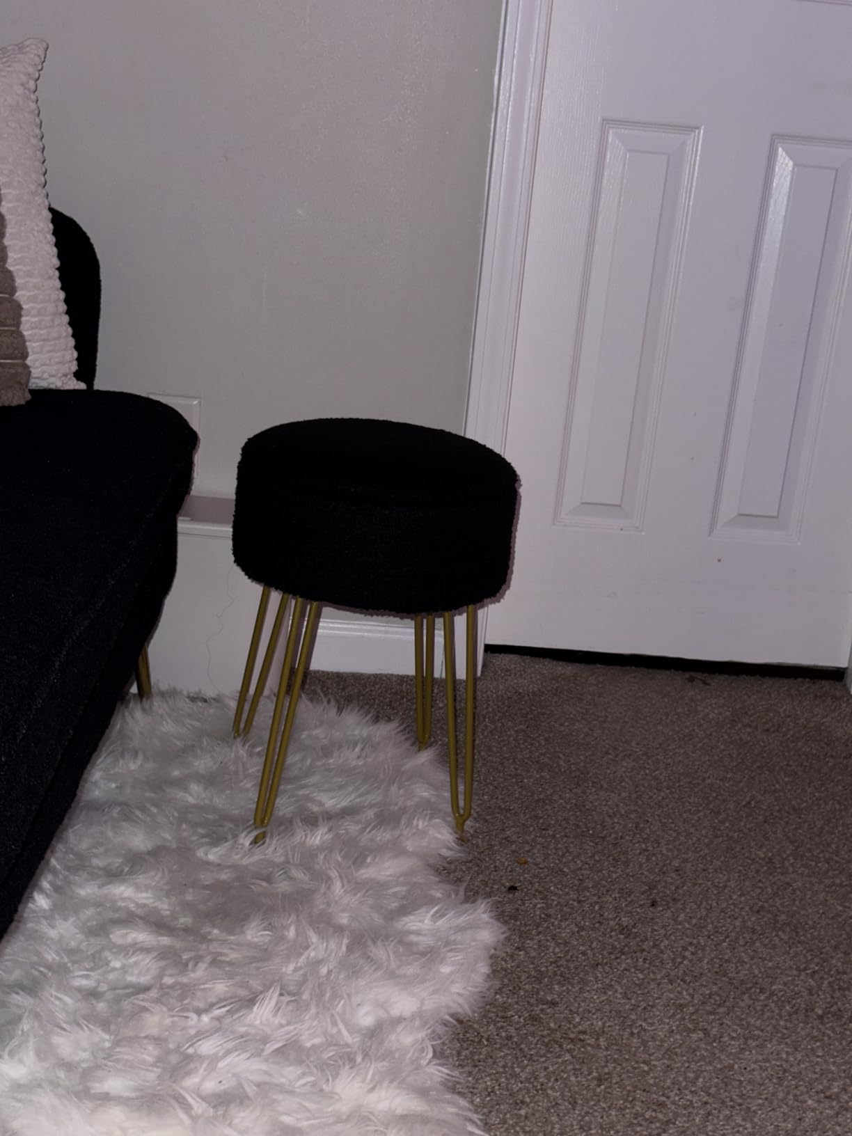 Makeup Vanity Stool, Teddy Velvet Storage Ottoman, White WBD010W | Footrest Side Table Removable Cover Golden Steel Legs Coffee Table Top Cover customer photo 1