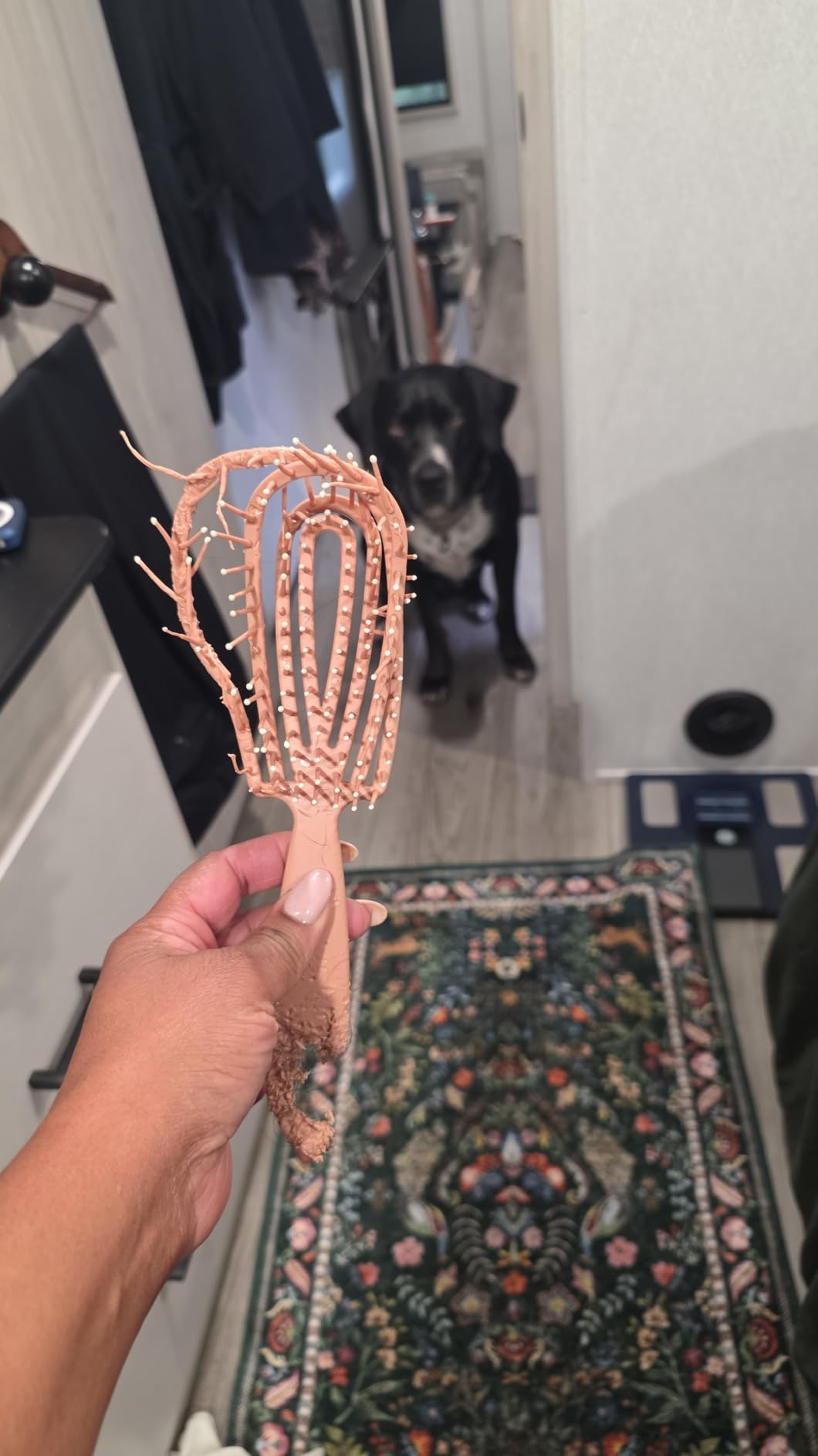 Kitsch Flexi Flow Detangler Brush, Bendable Frame, Curly Hair Brush for Wet or Dry Strands, Haze Blue customer photo 1
