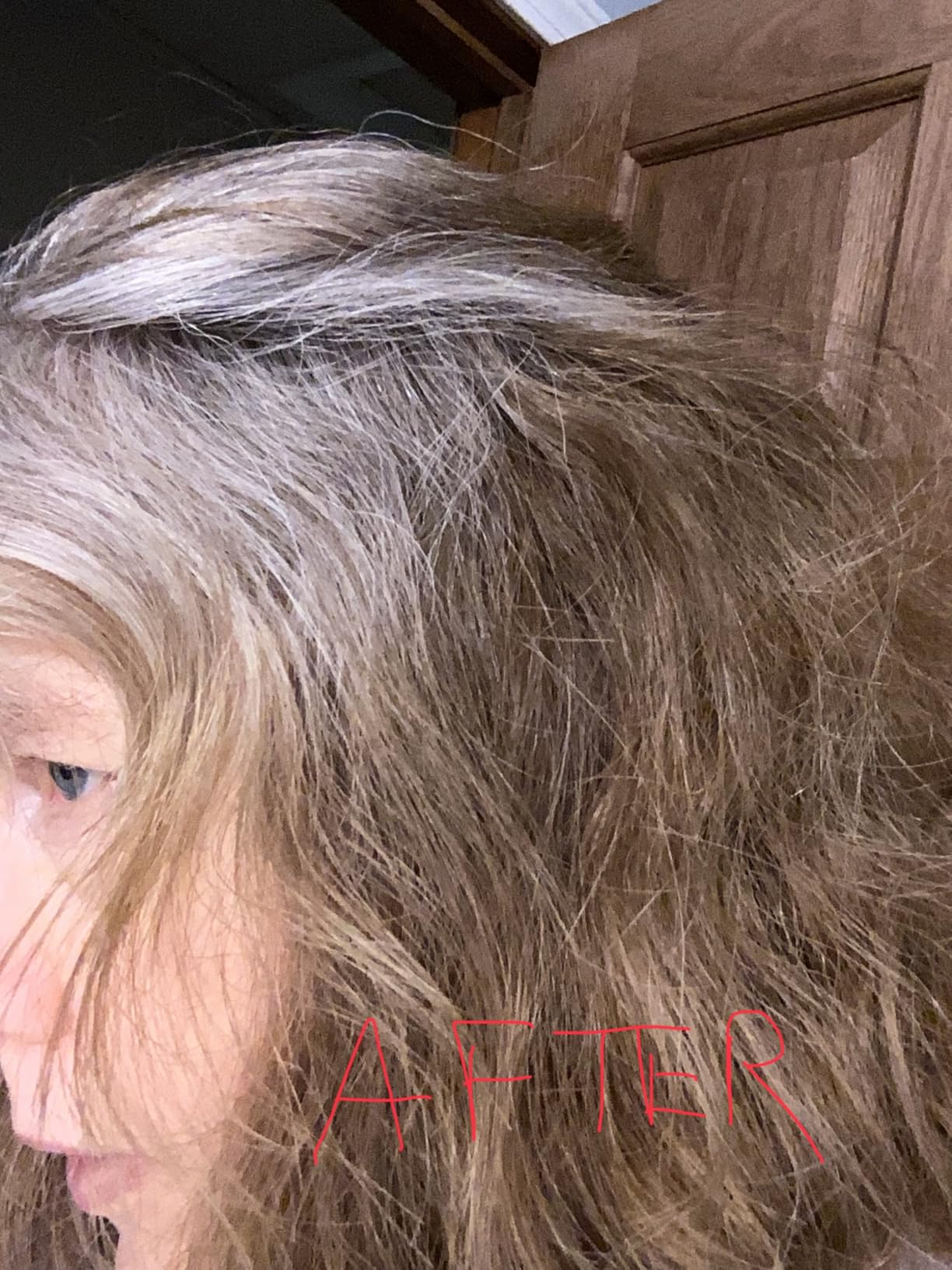 AGE Beautiful Hair Toner for Gray Hair, 5-Minute Demi Cream Toner, Neutralizes Yellow Tones, Blends & Enhances Soft Gray, Ammonia-Free Professional Color for Shine customer photo 2