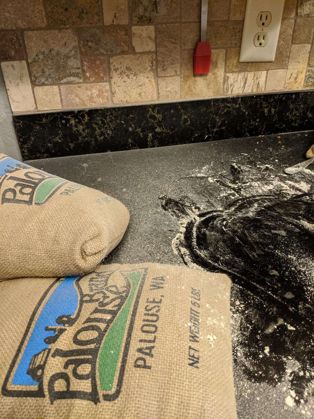 Kitchen Mill - Electric Grain Mill - High Speed Wheat, Corn, Grain Grinder, Flour Mill - Assembled in the USA - Stainless Steel Milling Chamber customer photo 1