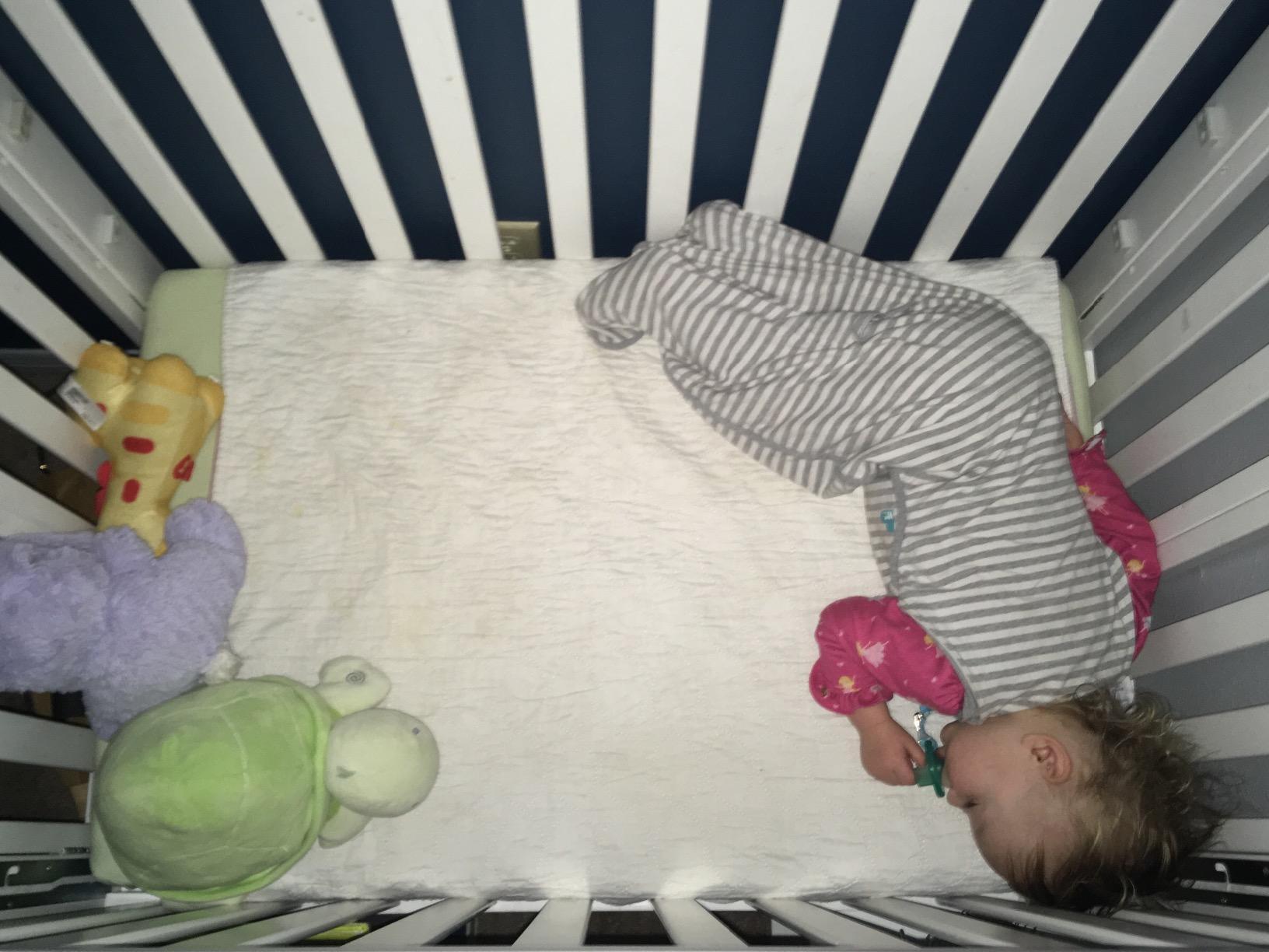 Dream On Me Mini Folding 3-in-1 Portable Baby Crib, Sturdy Locking Wheels | Mattress Included, 3 Adjustable Height, Compact Flat Fold for Small Spaces, GREENGUARD Gold & BSA Verified, White customer photo 1