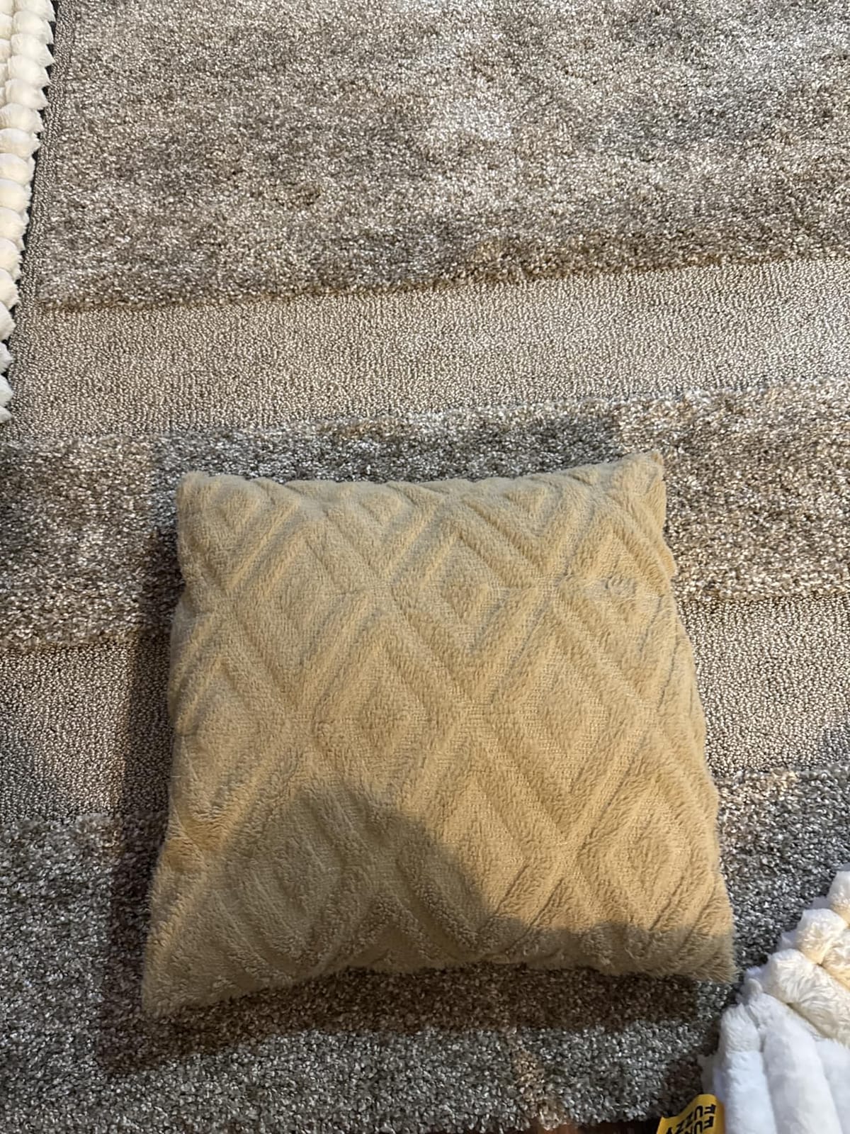 SAFAVIEH Area Rug 8x10 - Florida Shag Collection - Large - Creme & Creme, Border Design, Non-Shedding & Easy Cleaning, Plush Thick Pile, Ideal for Living Room, Bedroom, Dining Space (SG454-1111) customer photo 1