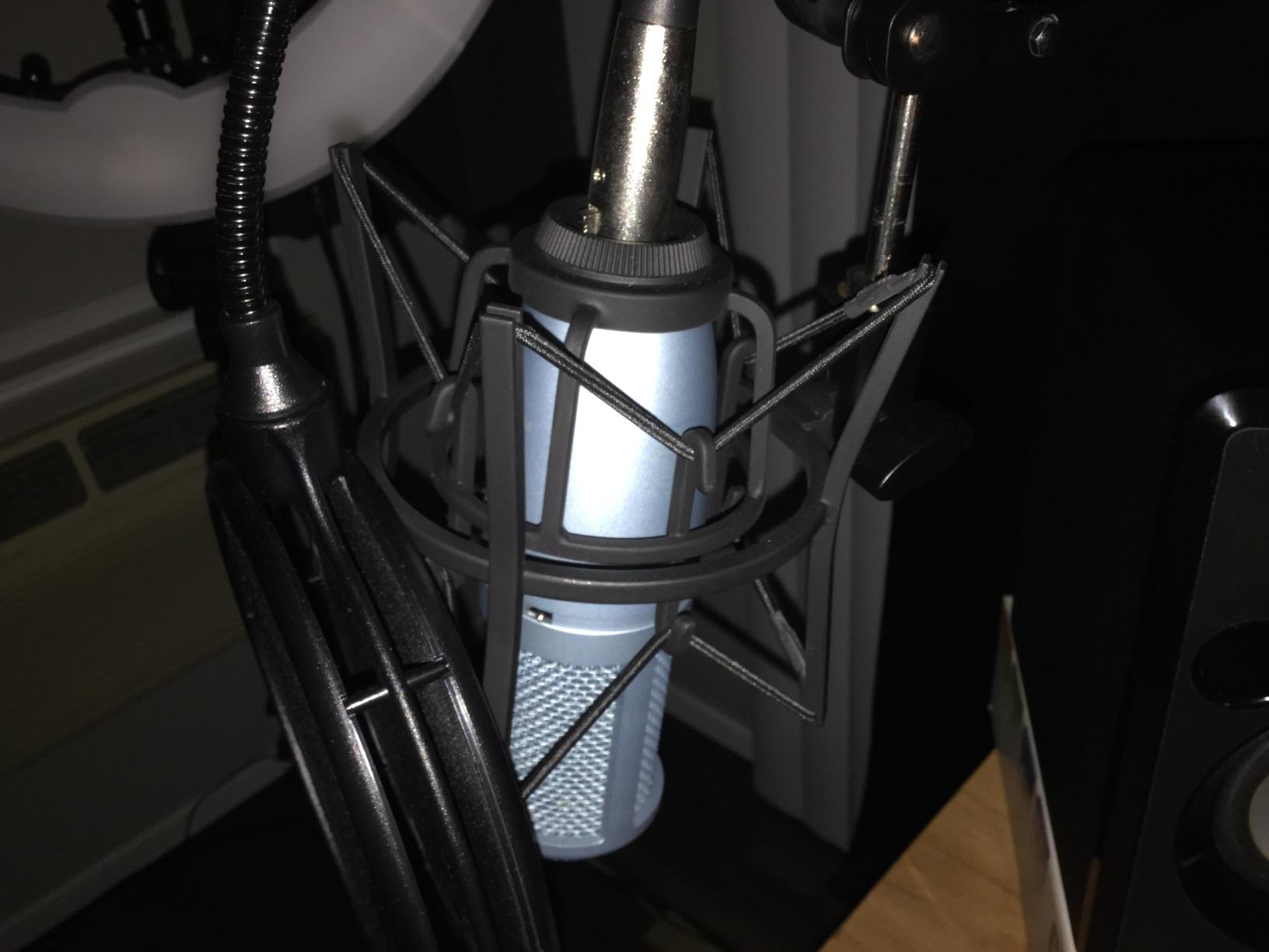 AKG Pro Audio P220 High-Performance Condenser Microphone, Great for Vocals, Guitar, Brass, and General Recording. XLR Wired Mic, for Studio or Stage customer photo 1