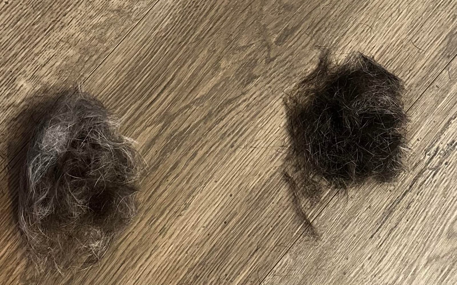 SleekEZ Dog Brush for Shedding | Patented Deshedding Dog Brush | Pet Hair Remover for Short, Medium & Long Coats | Made in USA | 5 Inch customer photo 2
