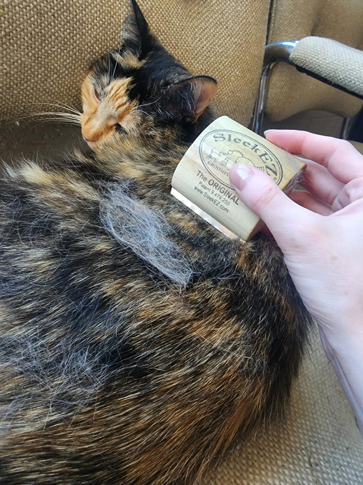 SleekEZ Cat Brush for Shedding - Deshedding Brush for Cats - Patented Grooming Tool for Removing Loose Fur, Undercoat & Hair - Made in USA - Works on Short, Medium & Long Coats customer photo 1