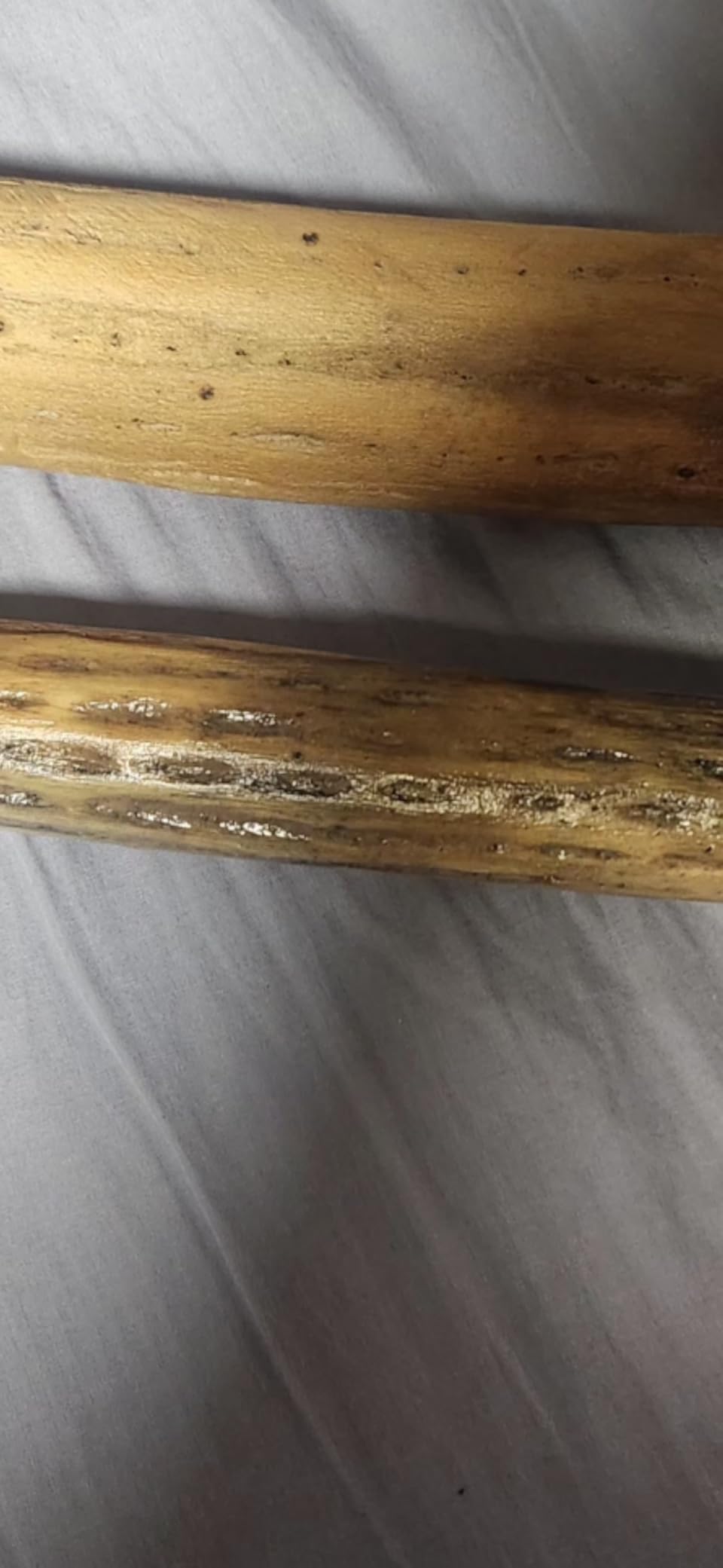Africa Heartwood Project 20