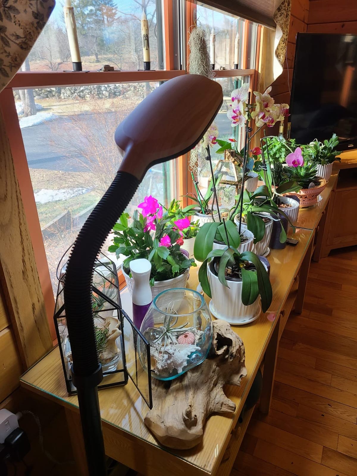 Brightech Litespan Slim LED Floor Reading Lamp - Tall with Adjustable Gooseneck, Dimmable for Living Rooms, Offices & Bedrooms - Black customer photo 1