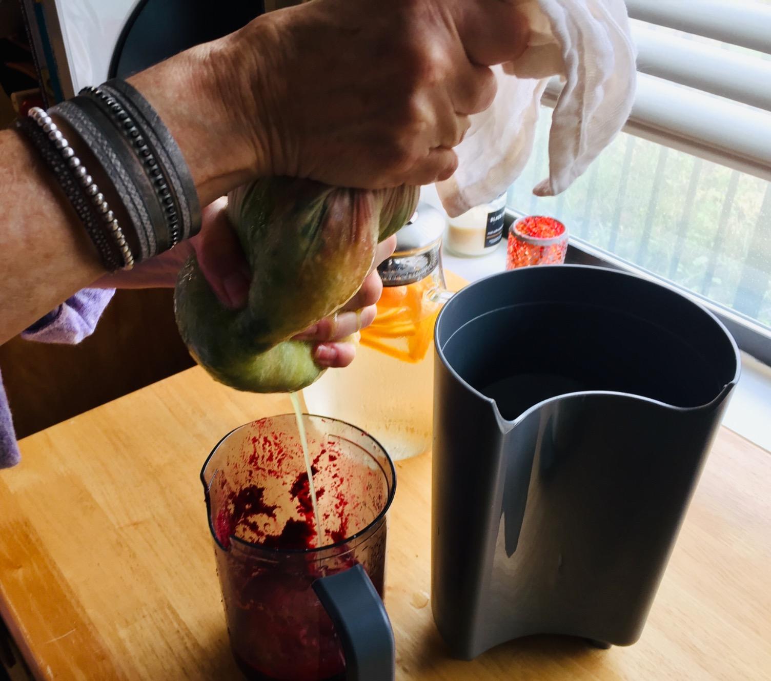 Hamilton Beach Centrifugal Juicer Machine With Big Mouth 3