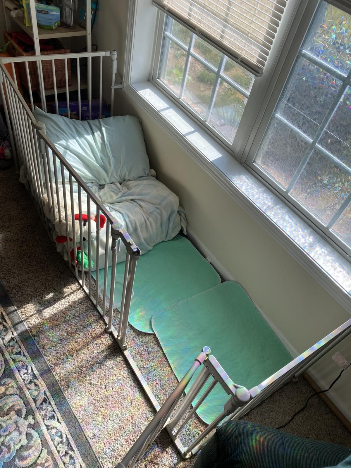 Toddleroo by North States - 3 In 1 Metal Superyard Baby Play Yard: 8 Panel Playpen, Gate, or Extra Wide Fence - Encloses Up to 19 Square Feet - 30 Inches Tall - Taupe customer photo 1
