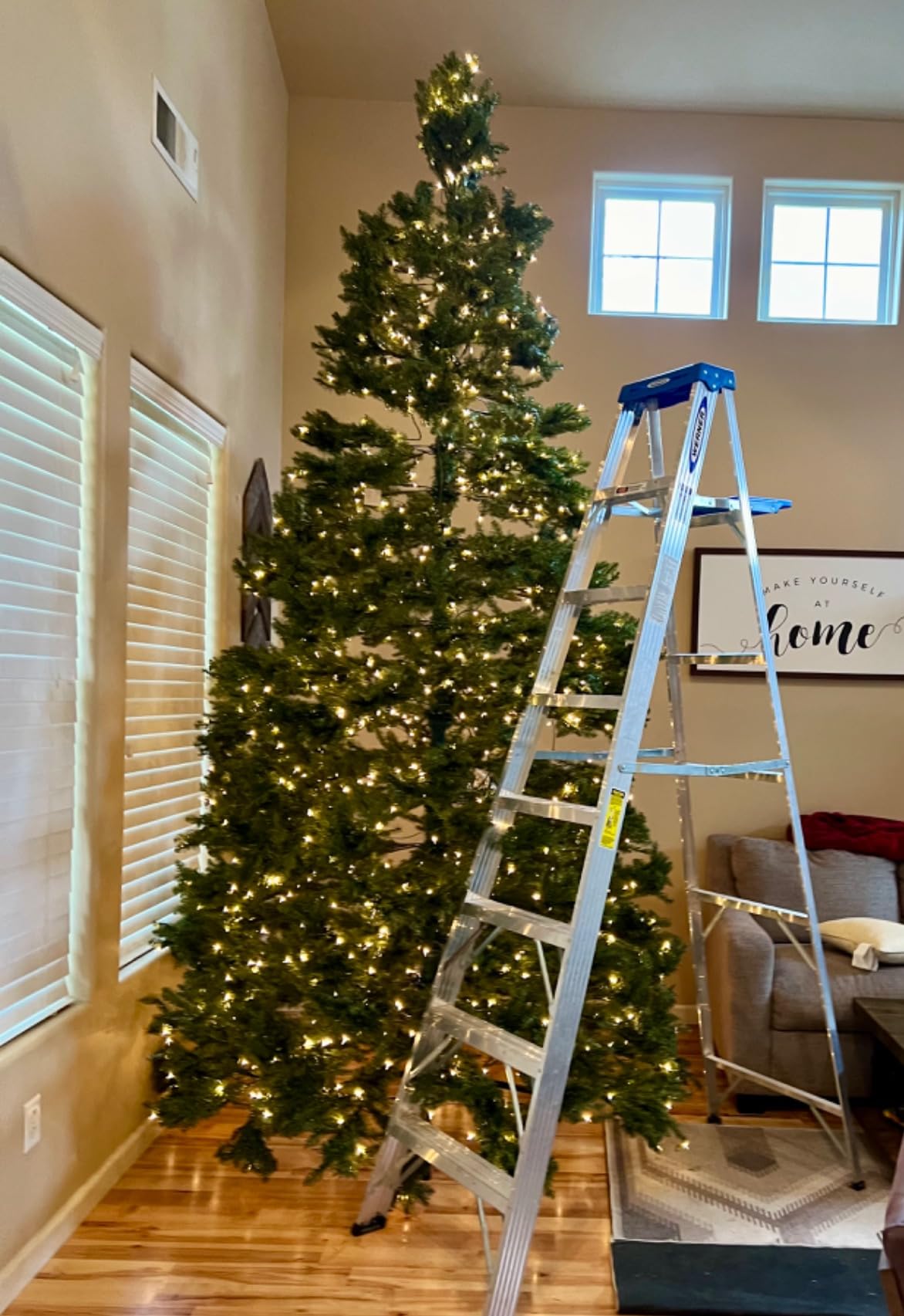 National Tree Company 6ft Pre-Lit Dunhill Fir Artificial Christmas Tree | 600 Clear Lights, 1,430 Tips, Includes Stand, Green customer photo 1
