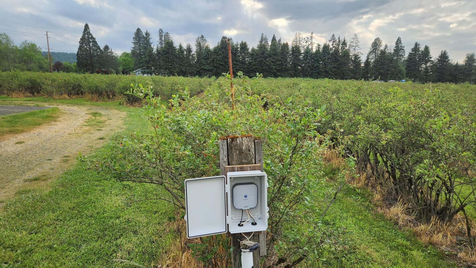 Orbit 57915 B-hyve 4-Zone Indoor Smart Sprinkler Controller (WiFi, App Control) customer photo 2