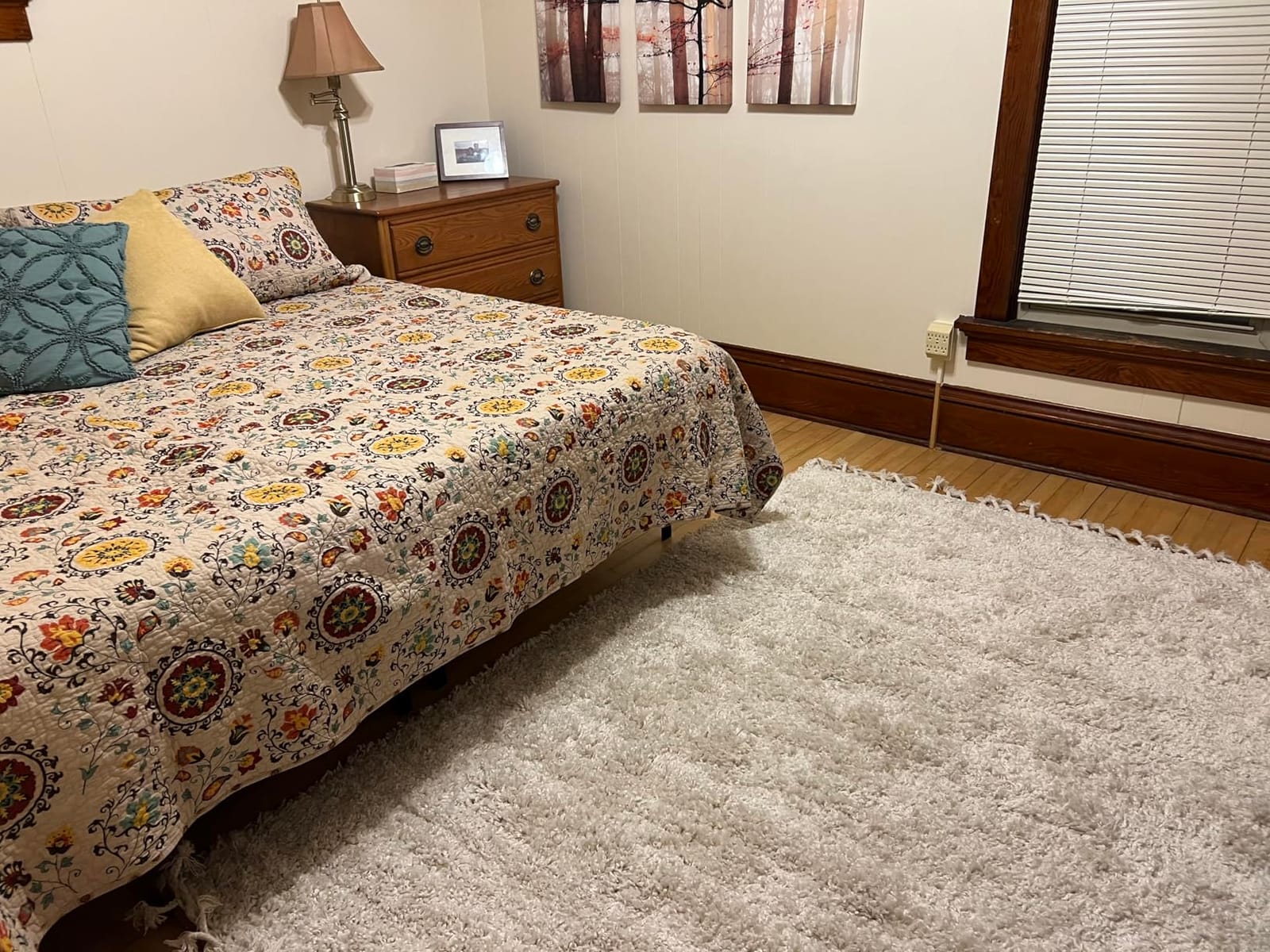 JONATHAN Y Mercer Shag Plush Tassel Cream Indoor Area Rug, 4x6, Contemporary, Modern, Easy-Cleaning for Living Room, Bedroom, Kitchen, Pet Friendly, Non-Shedding (MCR100D-4) customer photo 1