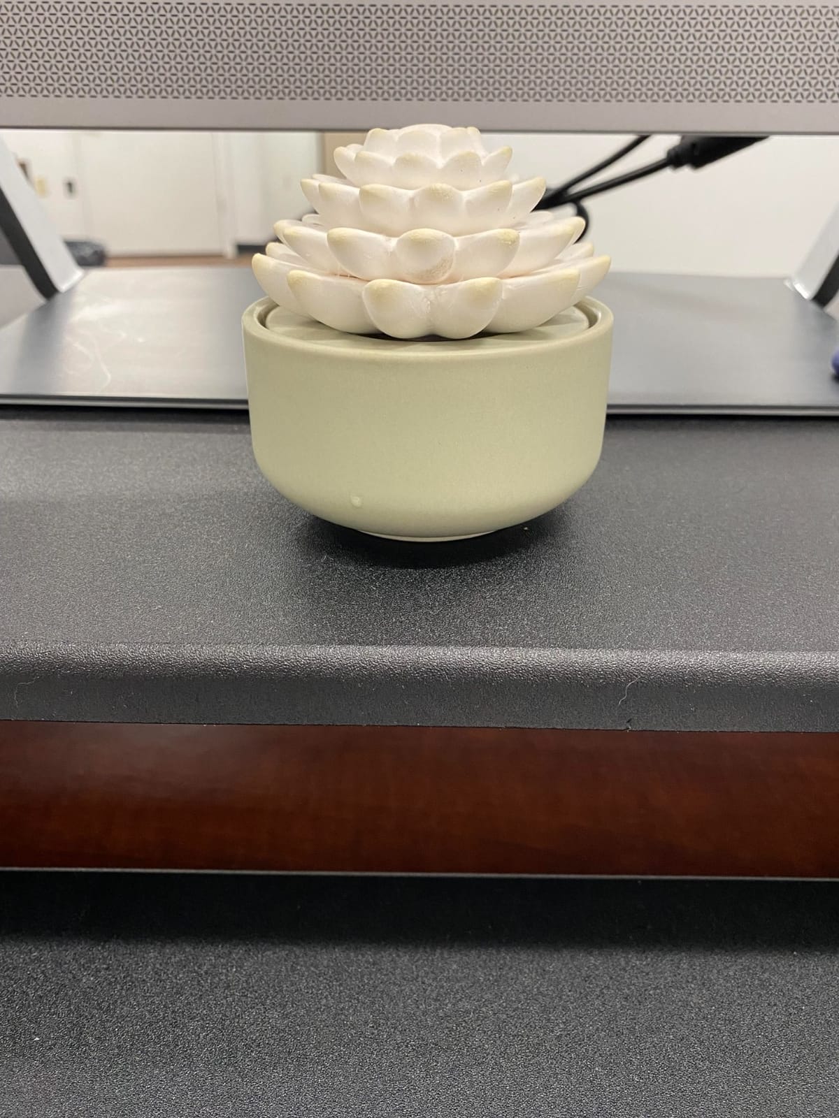 White Succulent, Porcelain Passive Essential Oil Diffuser (with 15ml Peppermint Essential Oil) - Non-Electric, Battery-Free, Improves Sleep, and Relieves Stress customer photo 2