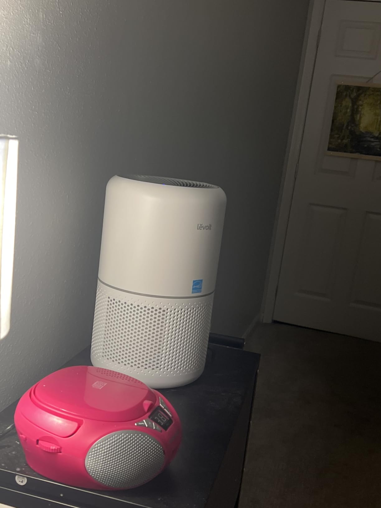 LEVOIT Air Purifier for Home Allergies Pet Hair in Bedroom, Covers Up to 1073 ft² by 56W High Torque Motor, AHAM VERIFIDE, 3-in-1 Filter with HEPA Sleep Mode, Remove Dust Smoke Odor, Core300-P, White customer photo 1