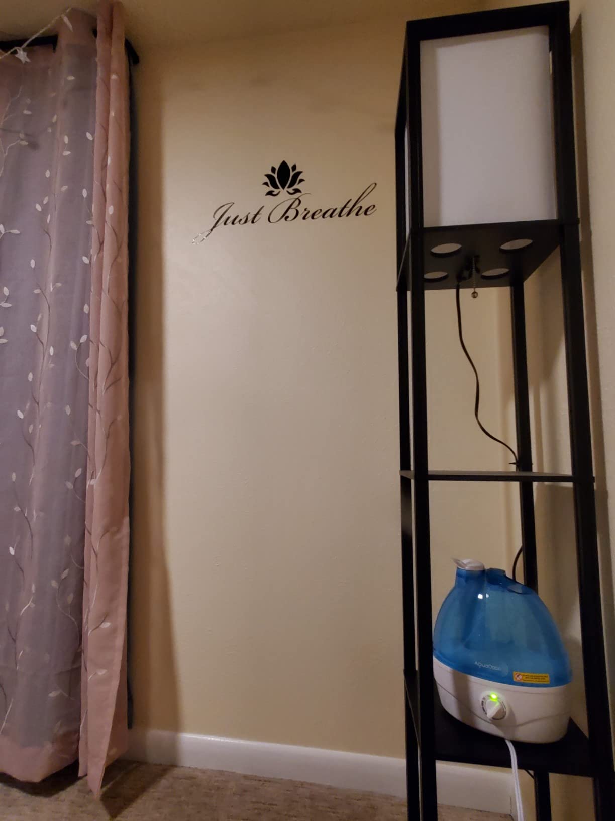 AquaOasis Cool Mist Humidifier (2.2L Water Tank) Quiet Ultrasonic Humidifiers for Bedroom & Large room - Adjustable -360 Rotation Nozzle, Auto-Shut Off, Humidifiers for Babies Nursery & Whole House customer photo 1