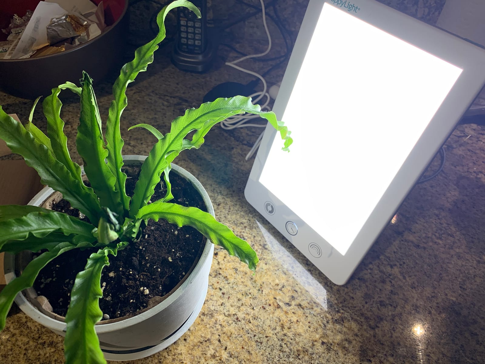Verilux HappyLight Touch Plus - Light Therapy Lamp with 10,000 Lux, UV-Free, LED Bright White Light with Adjustable Brightness, Color, Countdown Timer, & Detachable Stand - Boost Mood, Sleep, & Focus customer photo 2