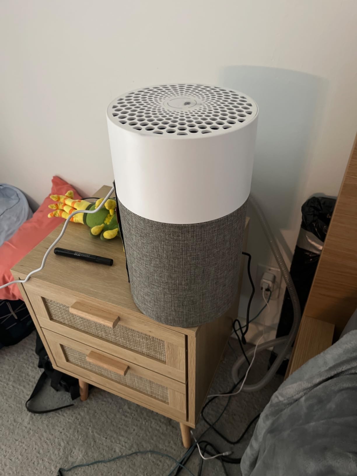 Blueair Blue Pure 511 HEPASilent Air Purifier for Small Rooms customer photo 2