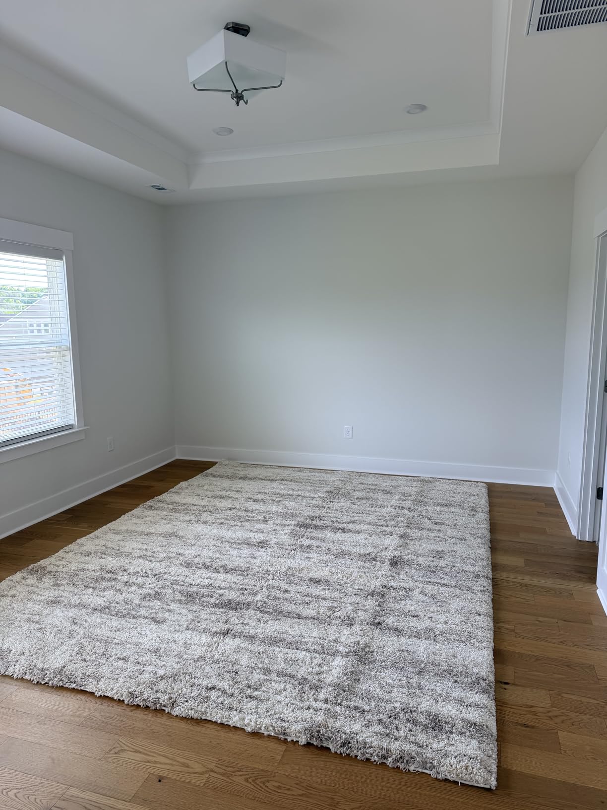 SAFAVIEH Hudson Shag Rug 5'3