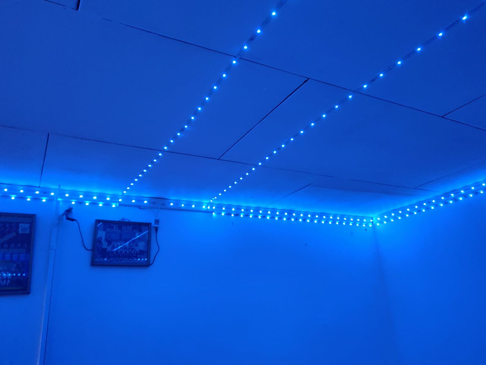 DAYBETTER Smart WiFi Led Lights 100ft, Tuya App Controlled Led Strip Lights, Work with Alexa and Google Assistant, Timer Schedule, Color Changing Led Lights for Bedroom Party Kitchen customer photo 2