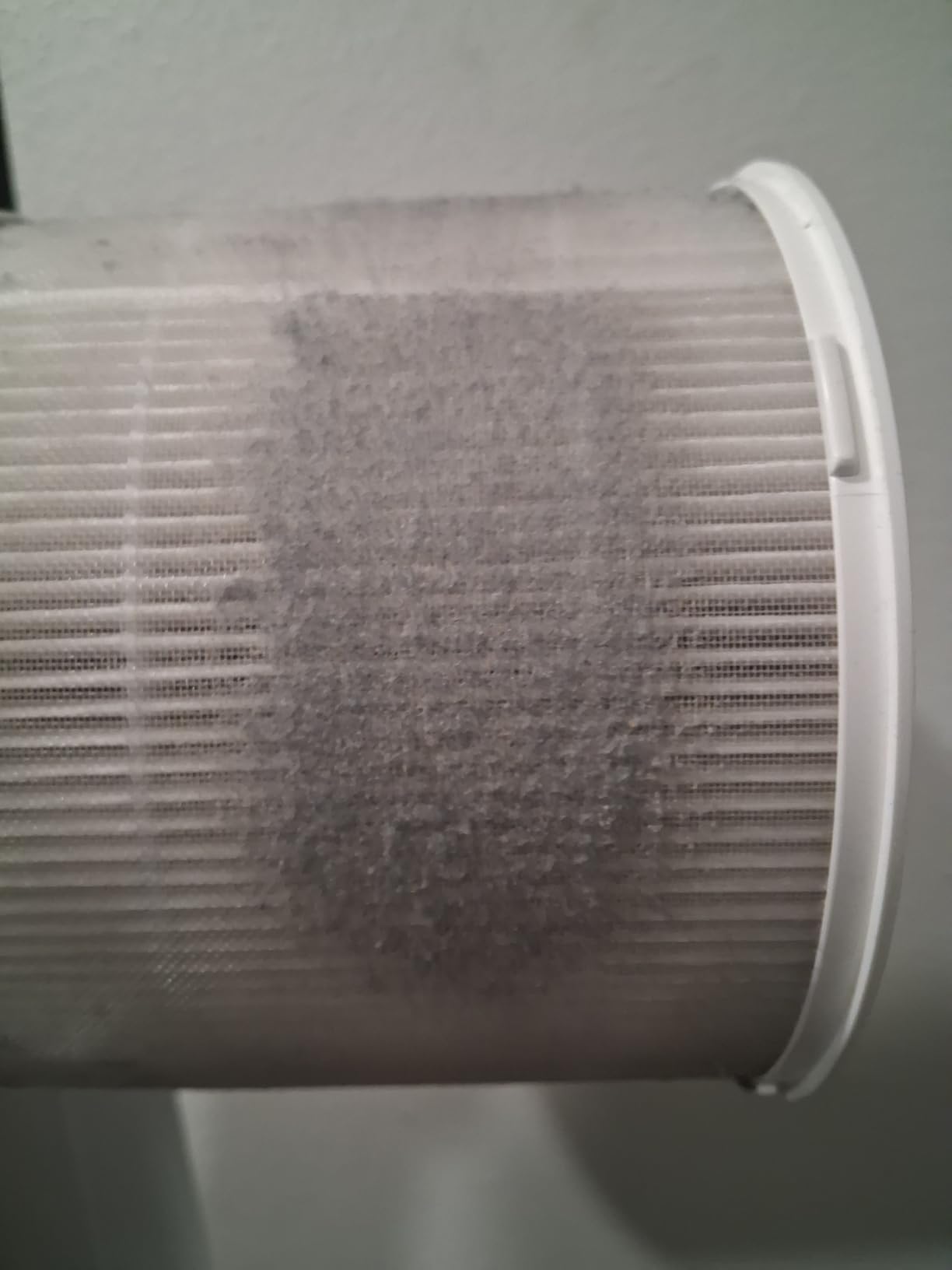 Clorox Small Room Air Purifiers for Bedroom Home, True HEPA Filter customer photo 2