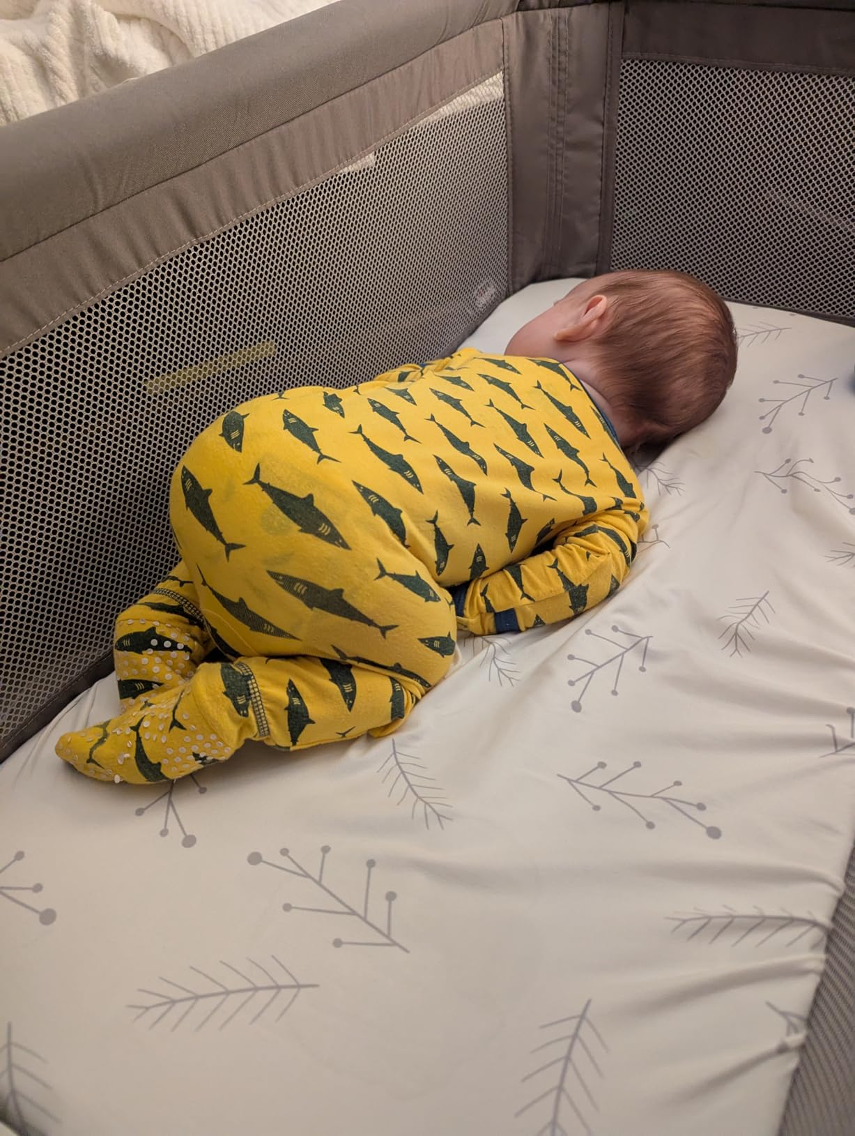 Chicco LullaGo Anywhere LE Portable Bassinet with Canopy and Carry Bag | Baby bassinet for bedside or travel use, GREENGUARD Gold, waterproof mattress, mesh sides, 13 lbs, Serene/Beige customer photo 2
