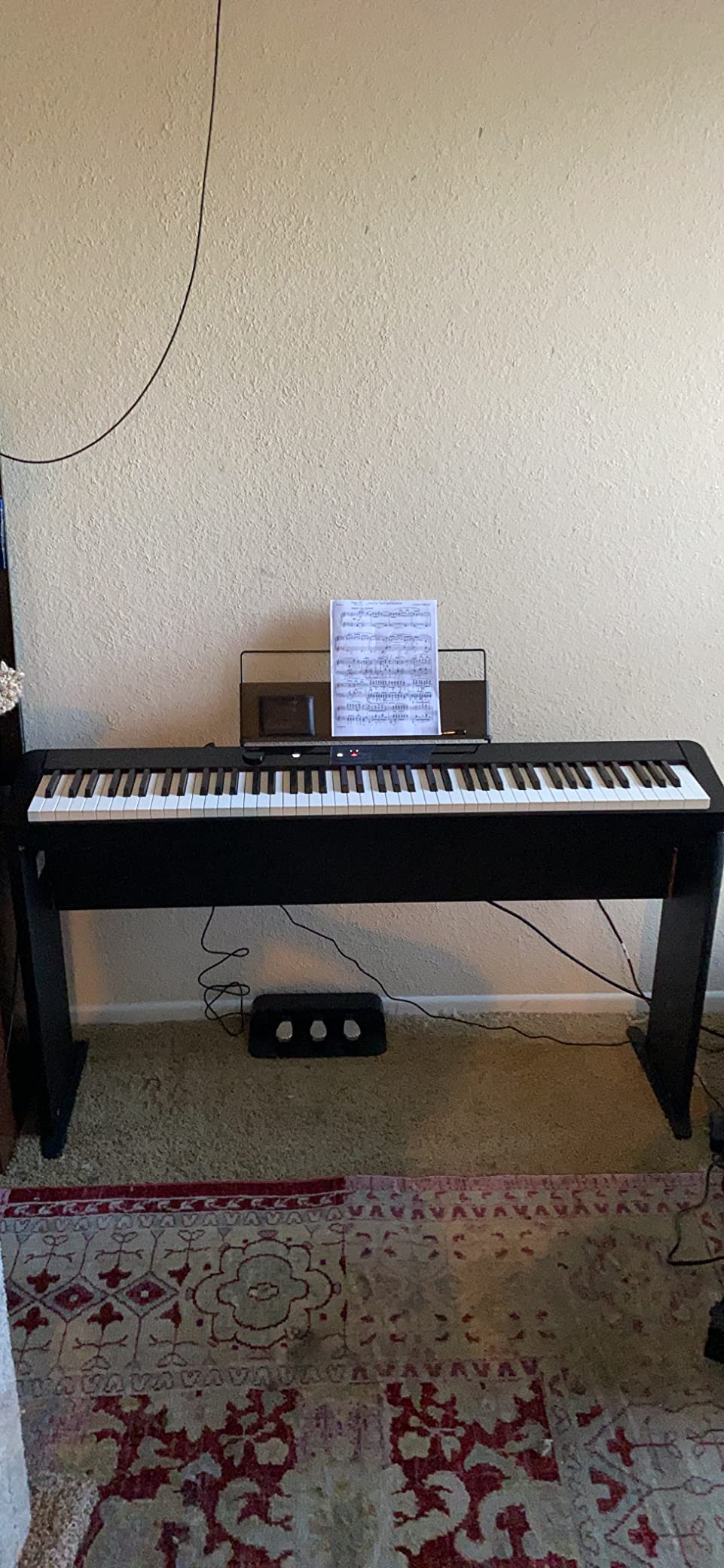 Casio PX-S1100 Privia Digital Piano - Black Bundle with Adjustable Stand, Bench, Sustain Pedal, Instructional Book, Online Lessons, Instructional DVD, and Austin Bazaar Polishing Cloth customer photo 2