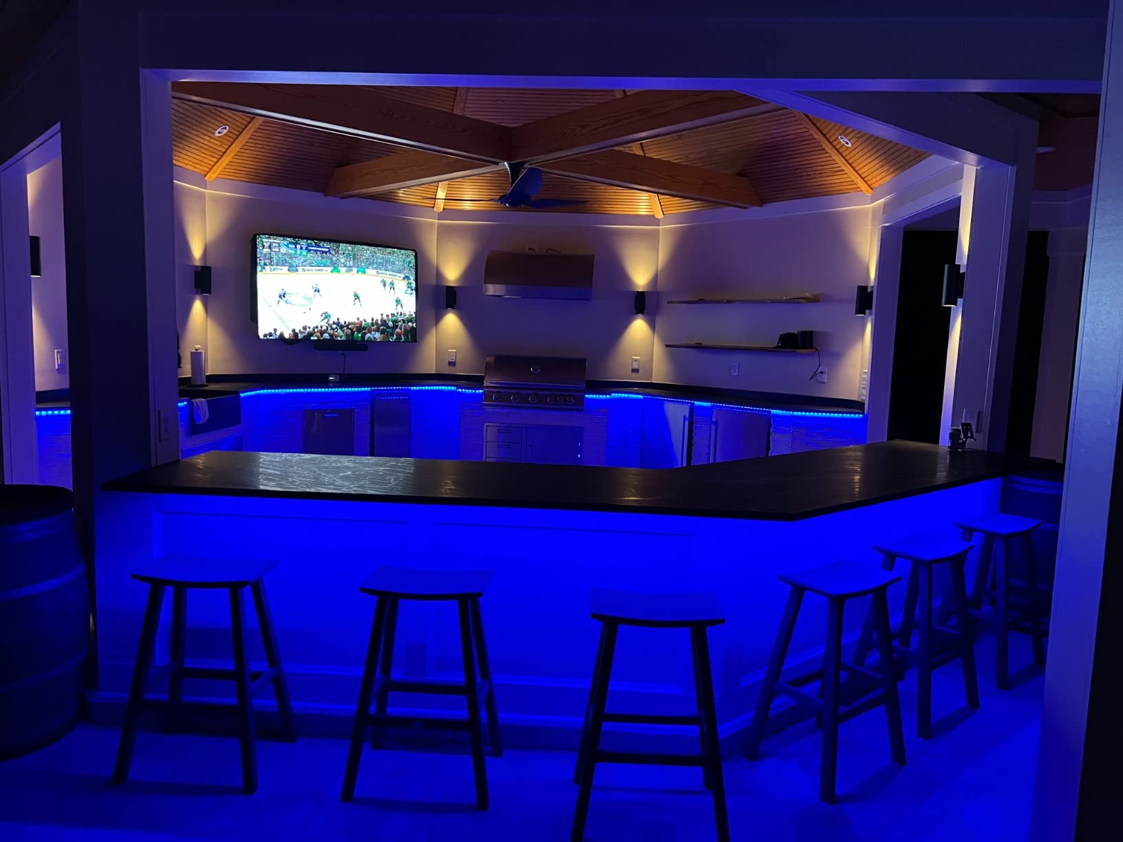 Kasa Smart LED Light Strip, 50 Color Zones RGBIC, 16.4ft Wi-Fi LED Strip Works w/ Alexa, Google Home & SmartThings, High Brightness, 16M Colors, PU Coating, Trimmable, 2 Yr Warranty (KL420L5) customer photo 2
