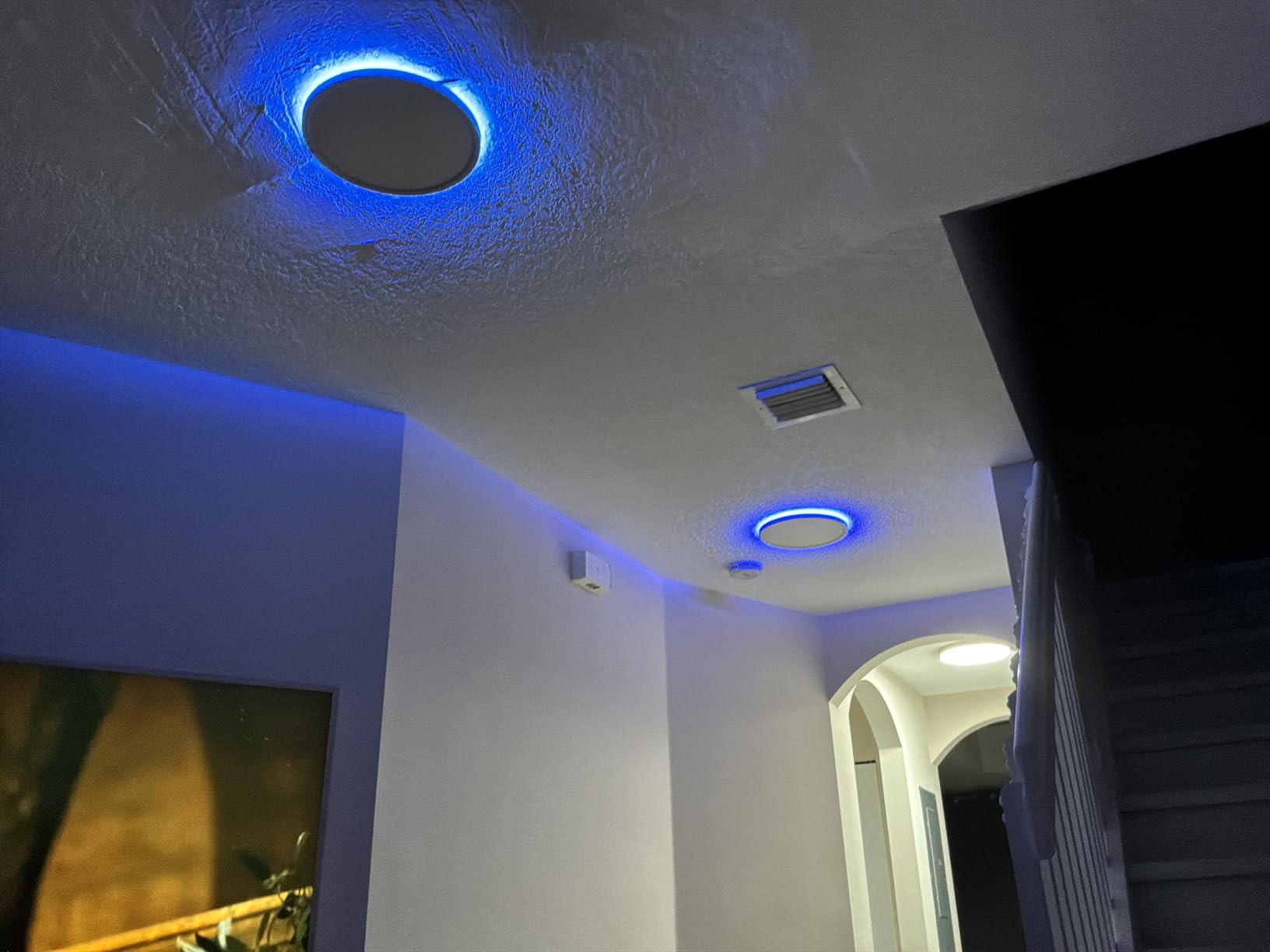 MELEGAN 12 Inch Smart RGB LED Flush Mount Ceiling Light (1 Pcs) | 24W RGB Mood Light, Multi Scenes, Night Light, Flush Mount, Dimmable 2700-6500K, WiFi Alexa Google, for Bedroom, Living Room customer photo 1