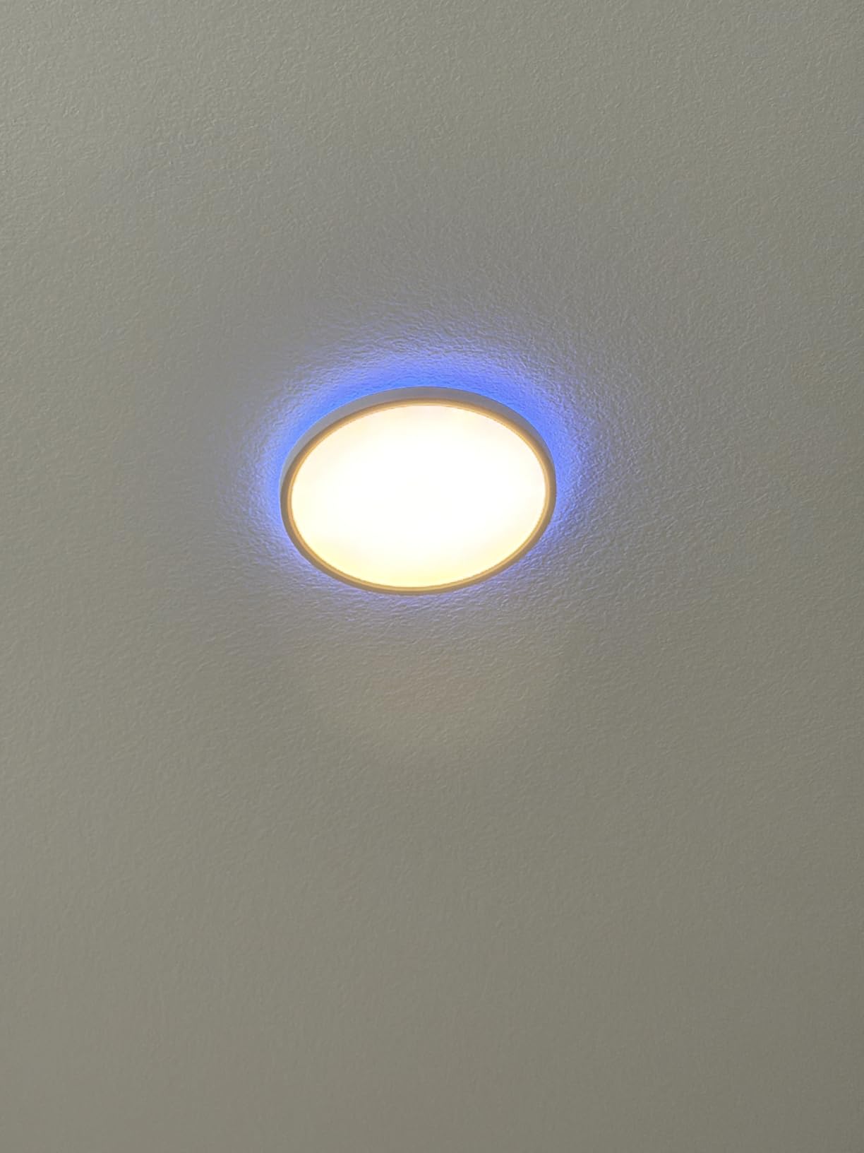 MELEGAN 12 Inch Smart RGB LED Flush Mount Ceiling Light (1 Pcs) | 24W RGB Mood Light, Multi Scenes, Night Light, Flush Mount, Dimmable 2700-6500K, WiFi Alexa Google, for Bedroom, Living Room customer photo 2