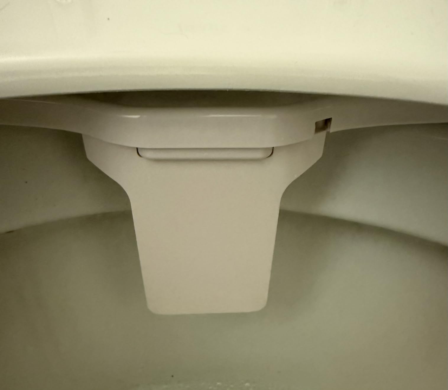 LUXE Bidet NEO 185 PLUS - Patented Bidet Attachment for Toilet, Chrome | Non-Electric, Dual Nozzle, Slide-In Install, 360° Self-Clean, EZ-Lift to Clean, Feminine & Rear Wash customer photo 2