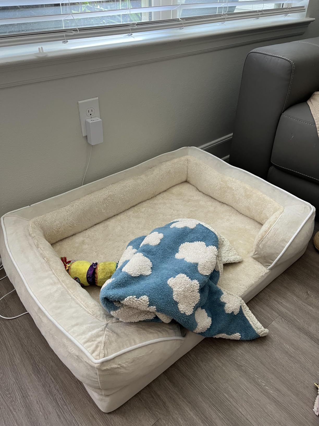 Comfort Expression Waterproof Orthopedic Dog Bed for Extra Large Dogs | Supportive Egg Crate Foam XL Pet Bed with Removable Bolster, Dog Couch with Washable Cover & Non-Slip Bottom, 42x30 Inch customer photo 2