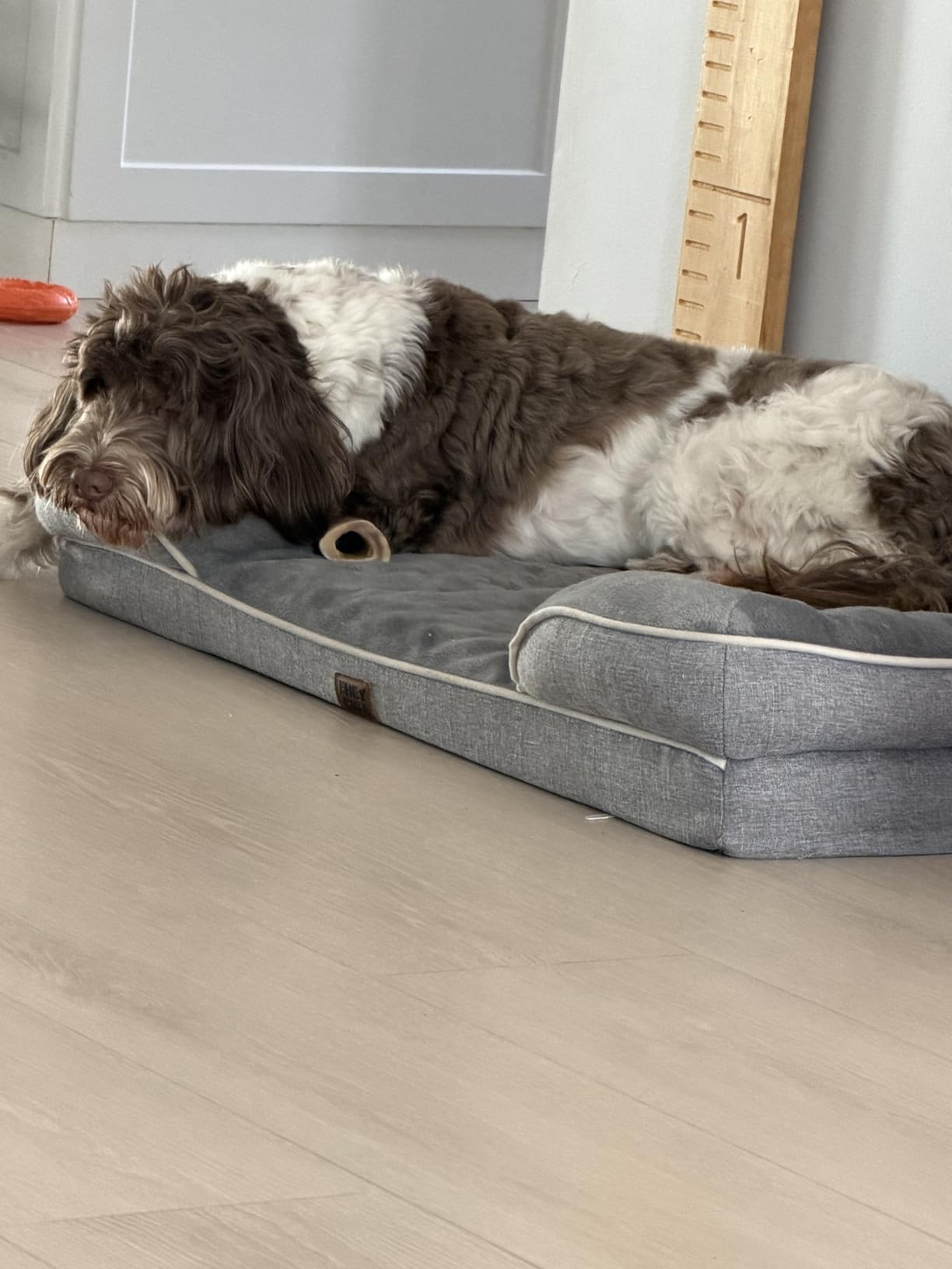 EHEYCIGA Orthopedic Dog Beds for Extra Large Dogs 44x32Inch, Polyurethane Foam XL Pet Bed with Sides, Non-Slip and Egg-Crate Foam Big Dog Couch Bed with Washable Removable Cover, Grey customer photo 2