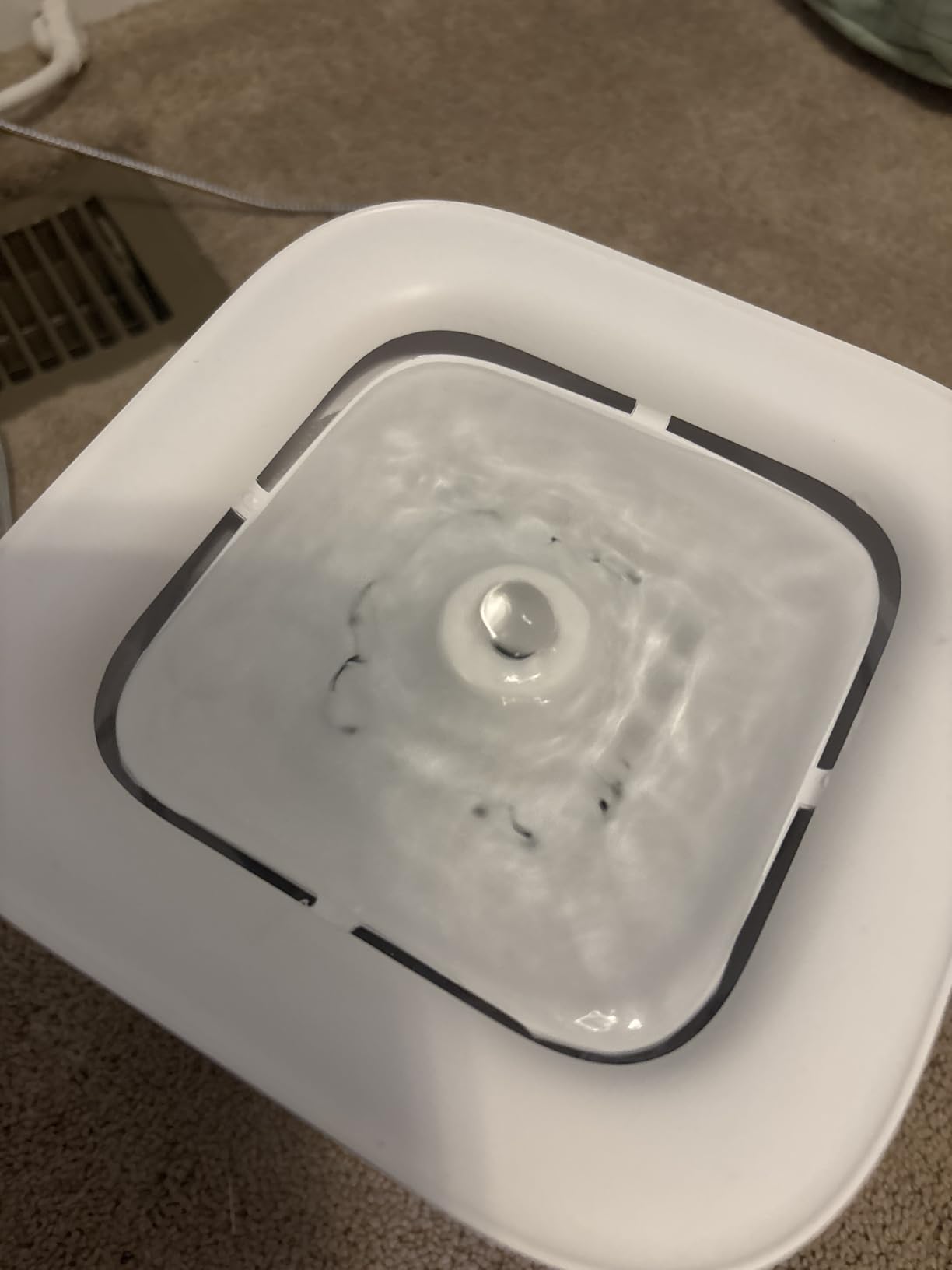 PETKIT Eversweet Solo SE Cat Water Fountain 65oz customer photo 1