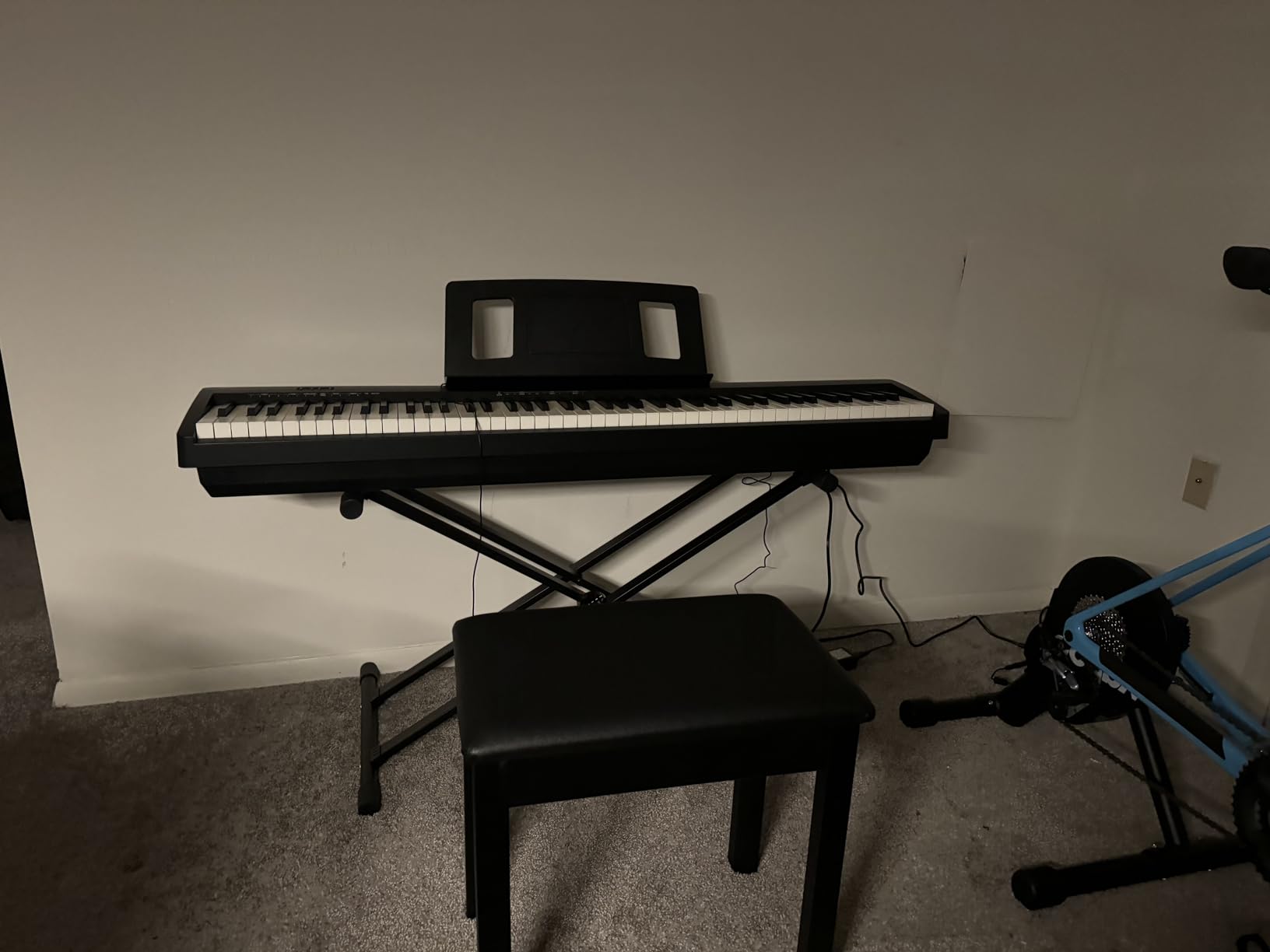 Roland FP-10 88-Key Digital Piano - Black Bundle with Adjustable Stand, Bench, Sustain Pedal, Instructional Book, Online Lessons, Instructional DVD, and Austin Bazaar Polishing Cloth customer photo 1