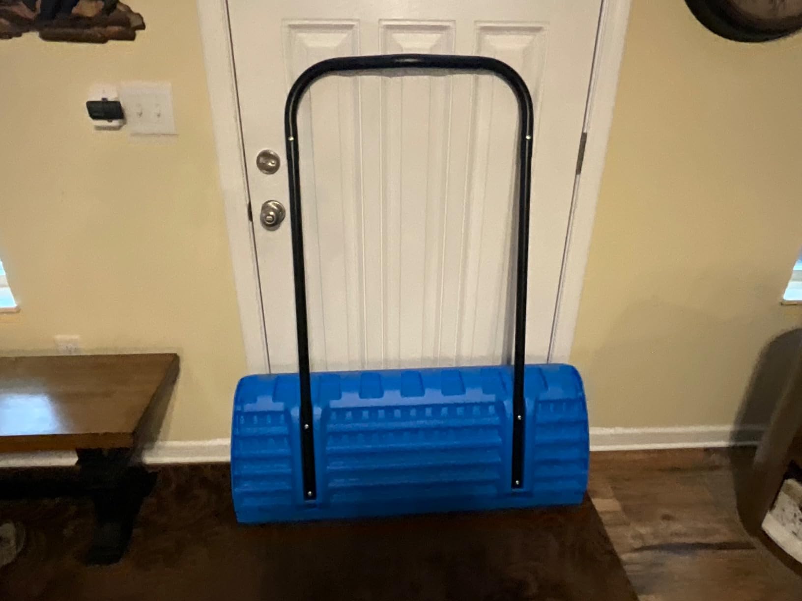 Lifetime Snow Pusher, 42